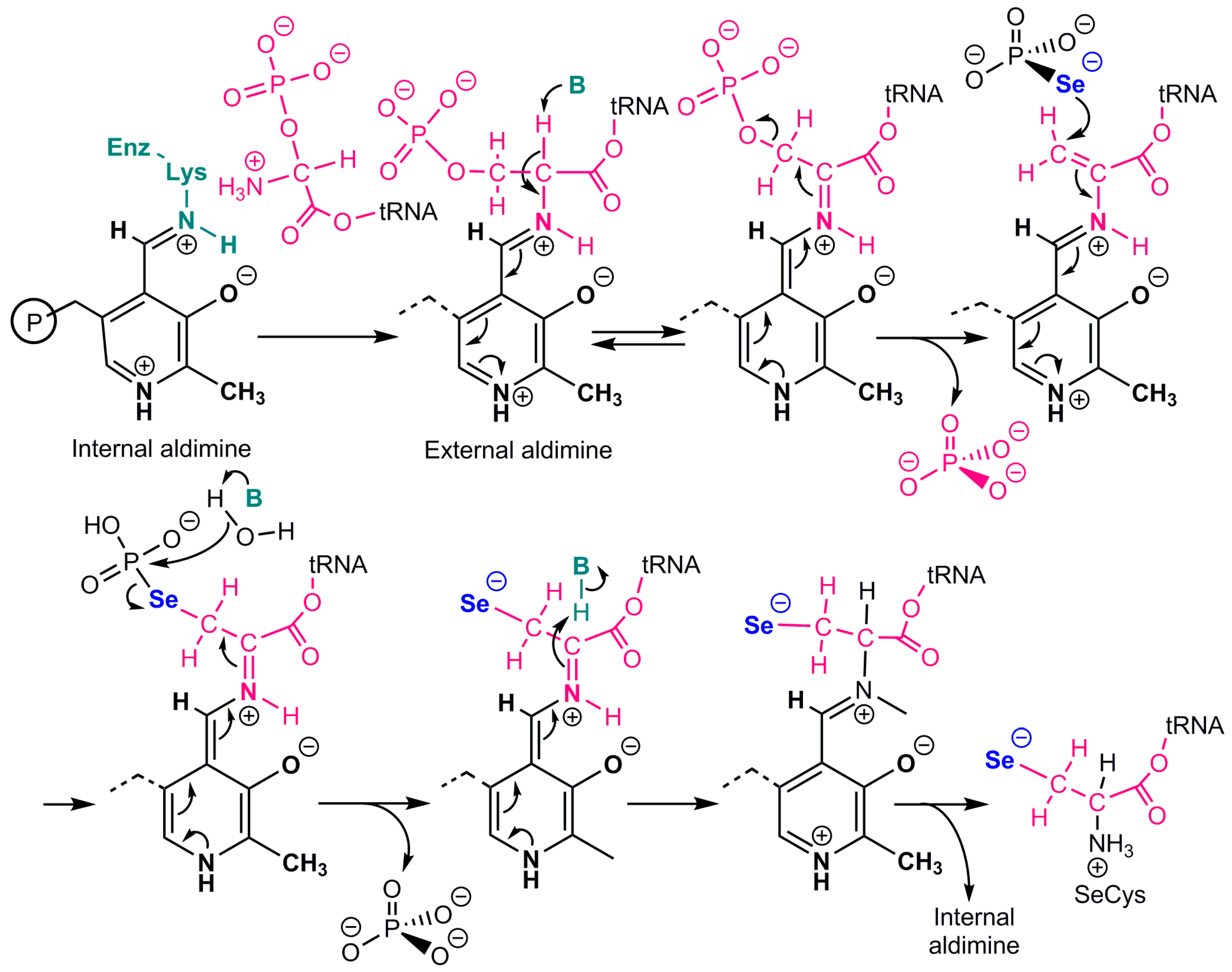 Ijms 24 10109 g002 Ijms 24 10109 g002