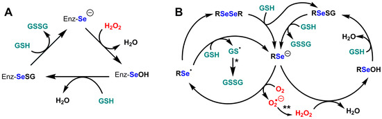 Biological and Catalytic Properties of Selenoproteins