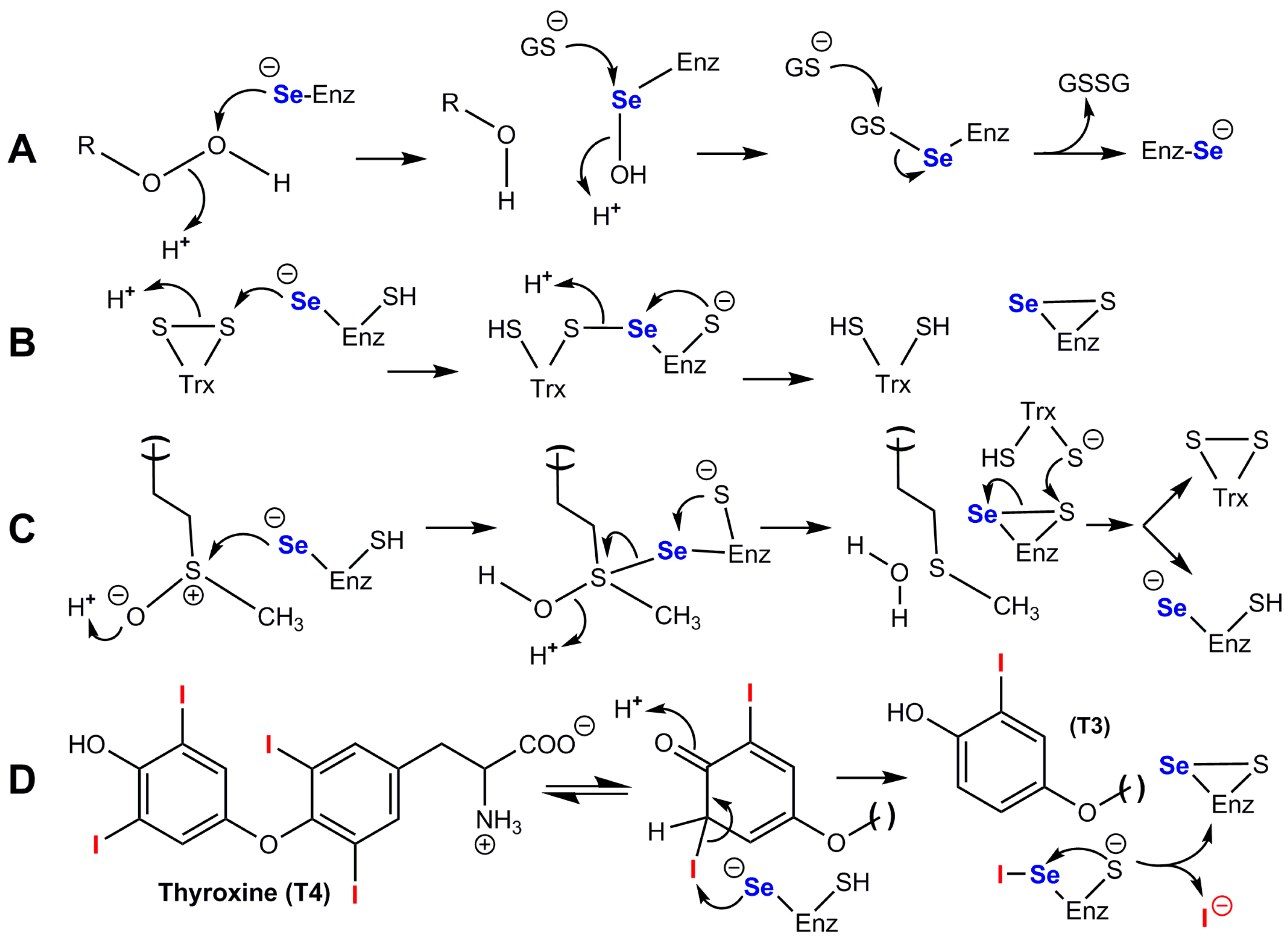 Ijms 24 10109 g005 Ijms 24 10109 g005