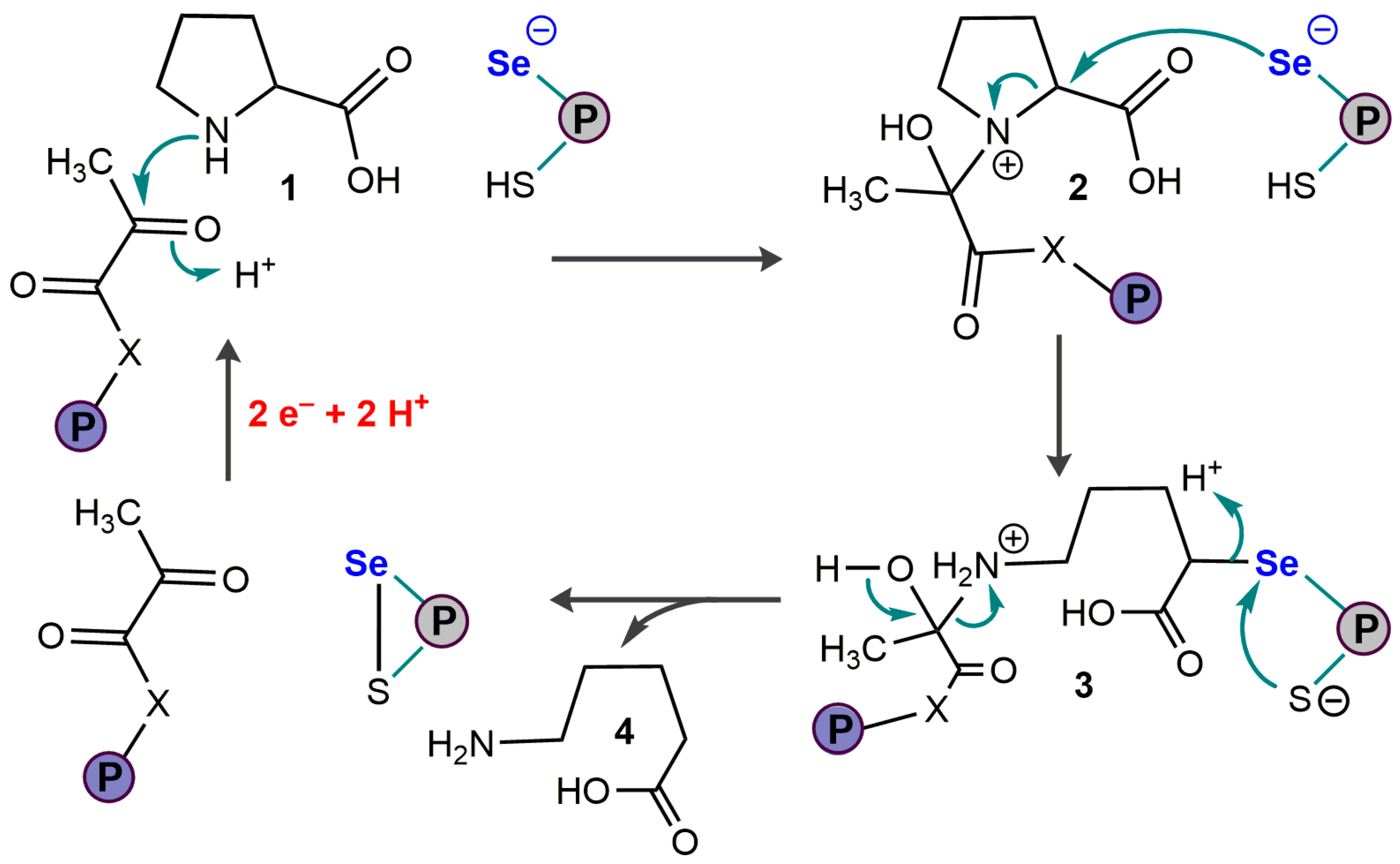 Ijms 24 10109 g009 Ijms 24 10109 g009