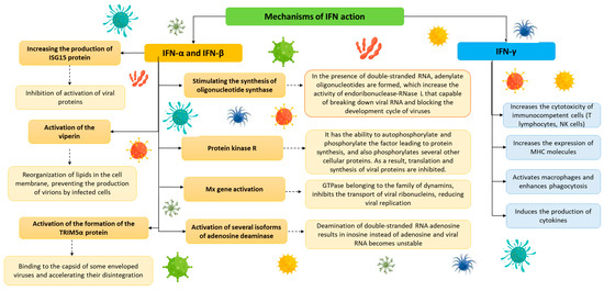 Immunomodulatory Role of Interferons in Viral and Bacterial Infections