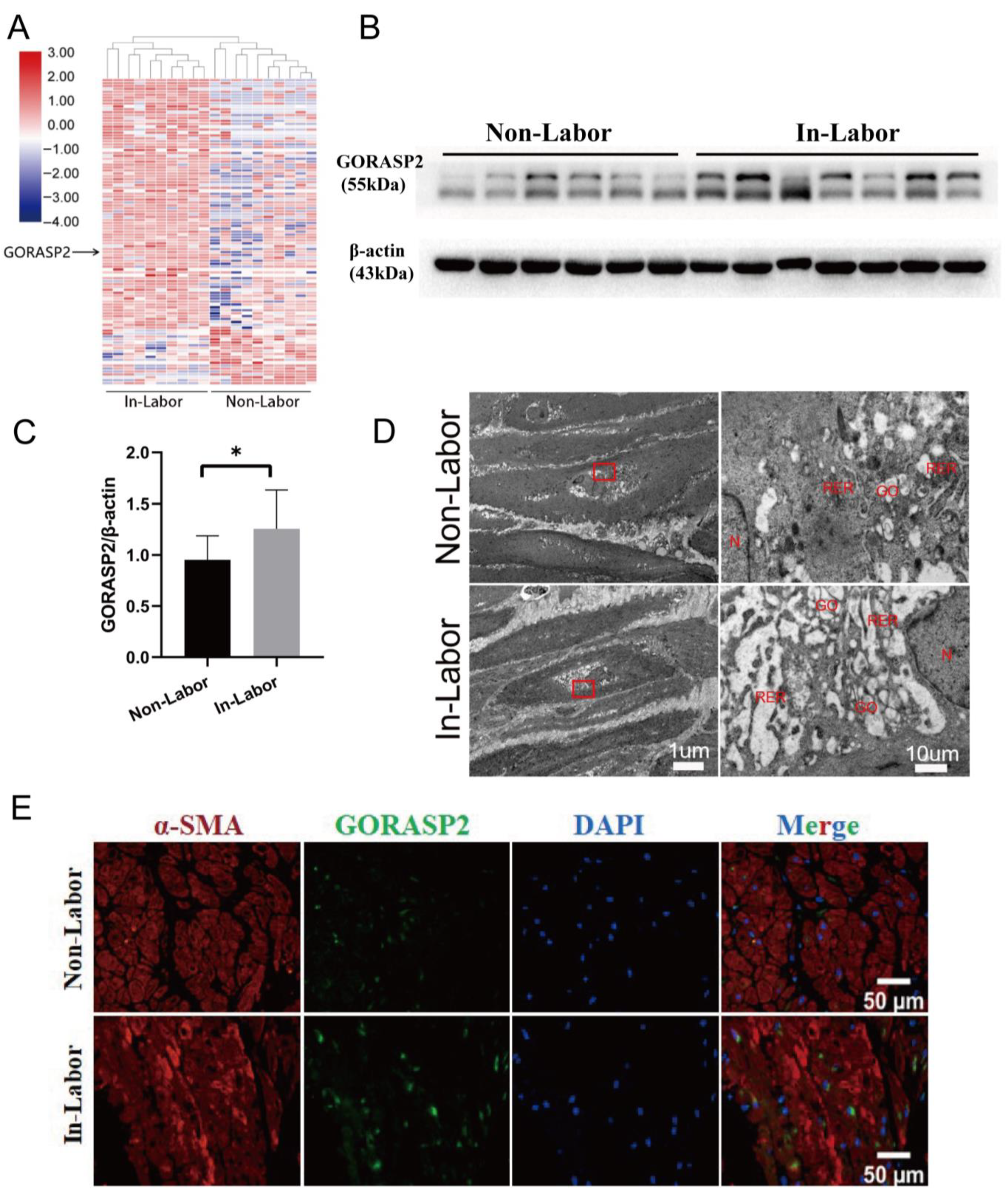 Ijms 24 10116 g001 Ijms 24 10116 g001
