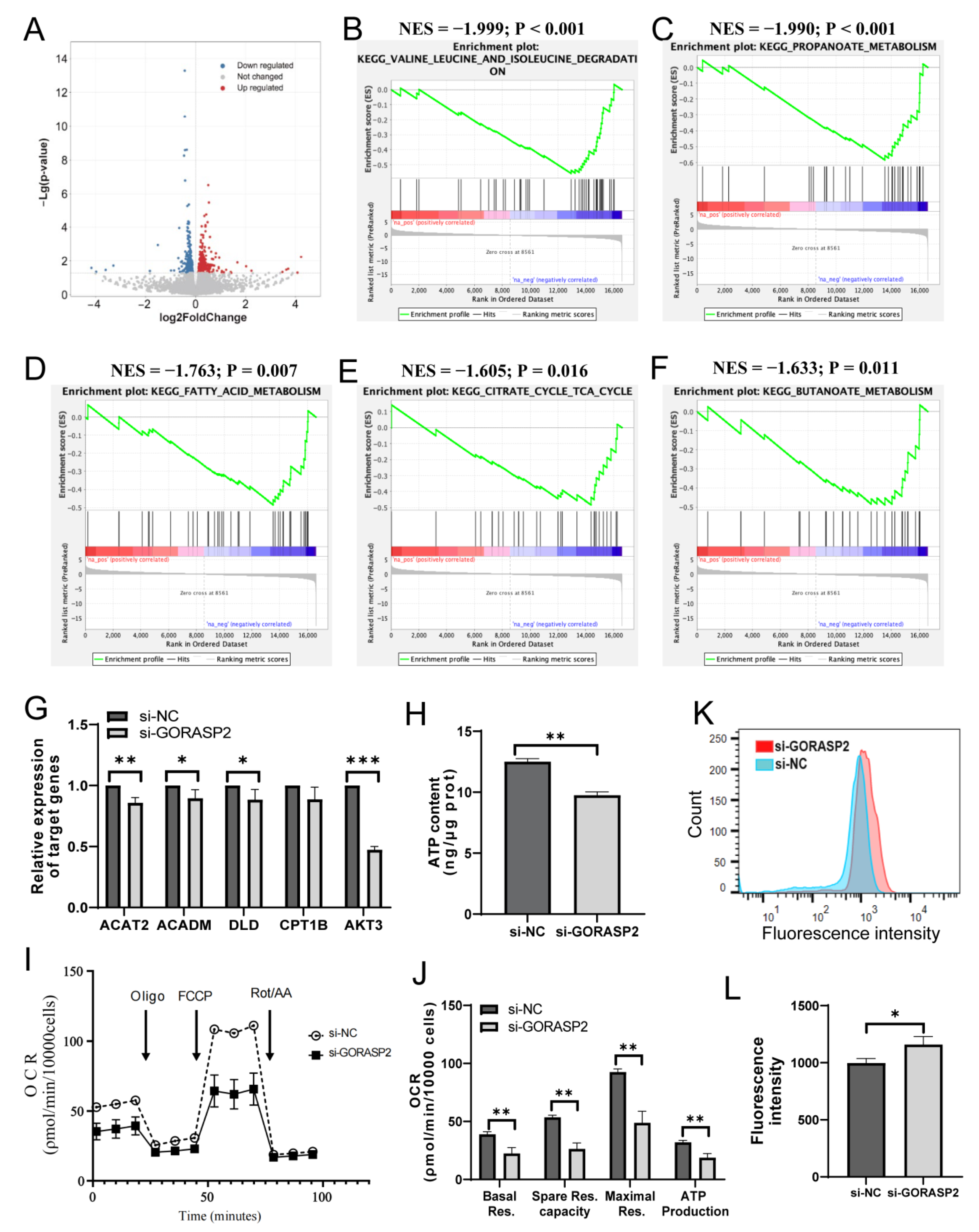 Ijms 24 10116 g004 Ijms 24 10116 g004