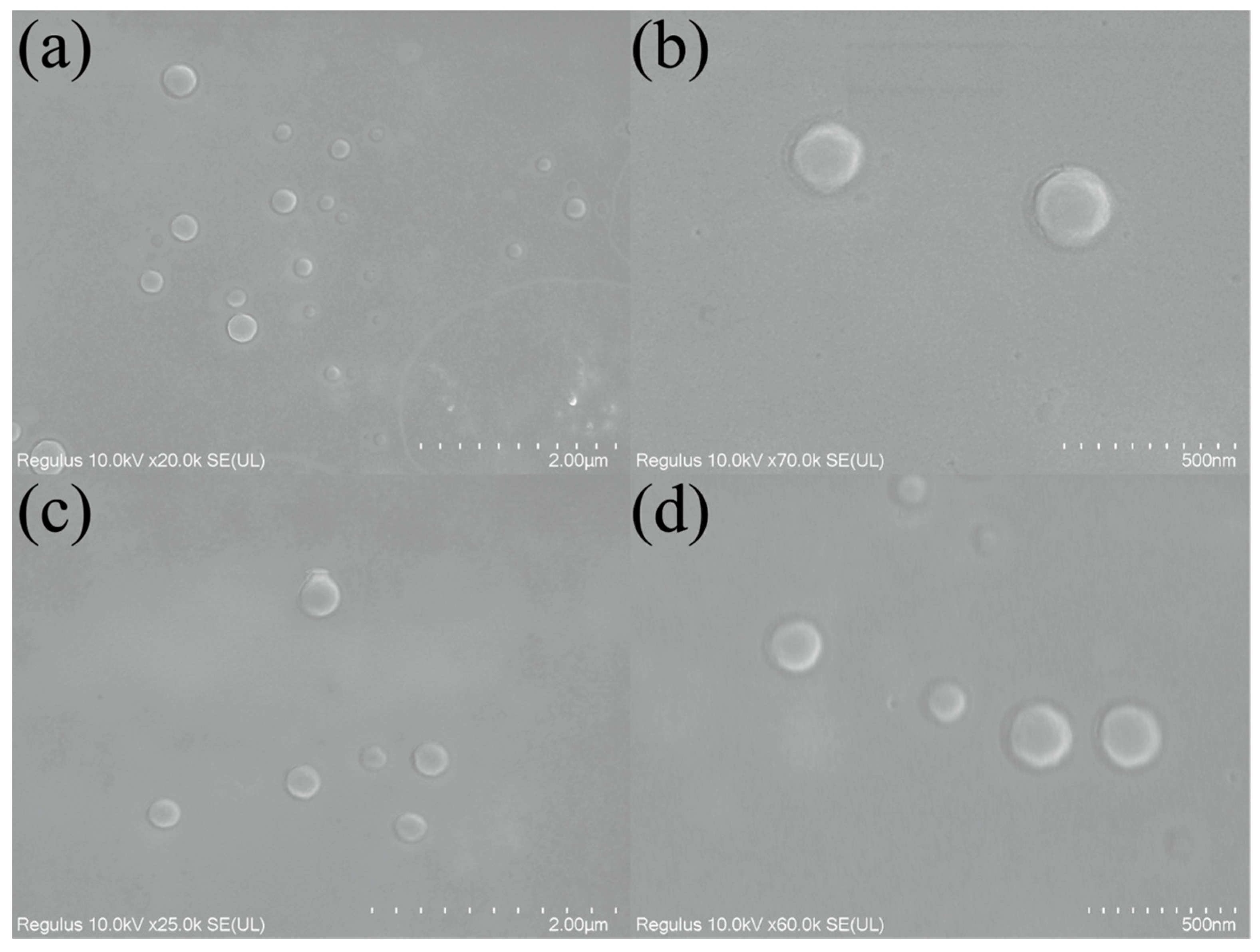 Ijms 24 10121 g002 Ijms 24 10121 g002