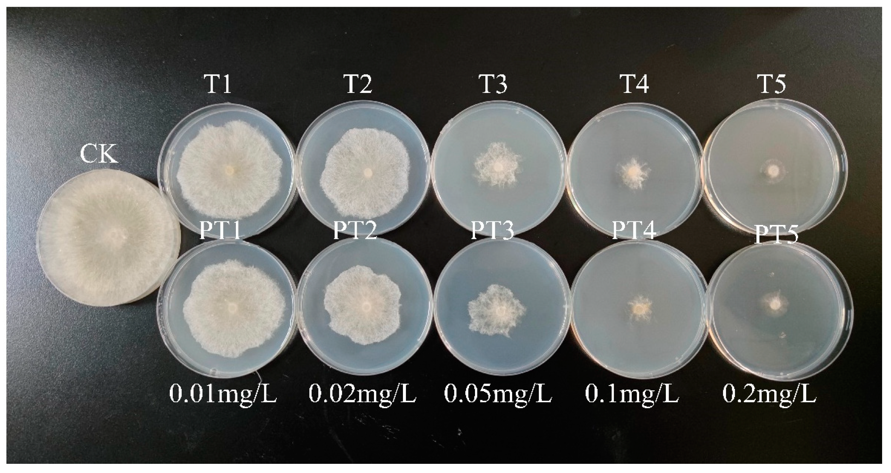 Ijms 24 10121 g005 Ijms 24 10121 g005