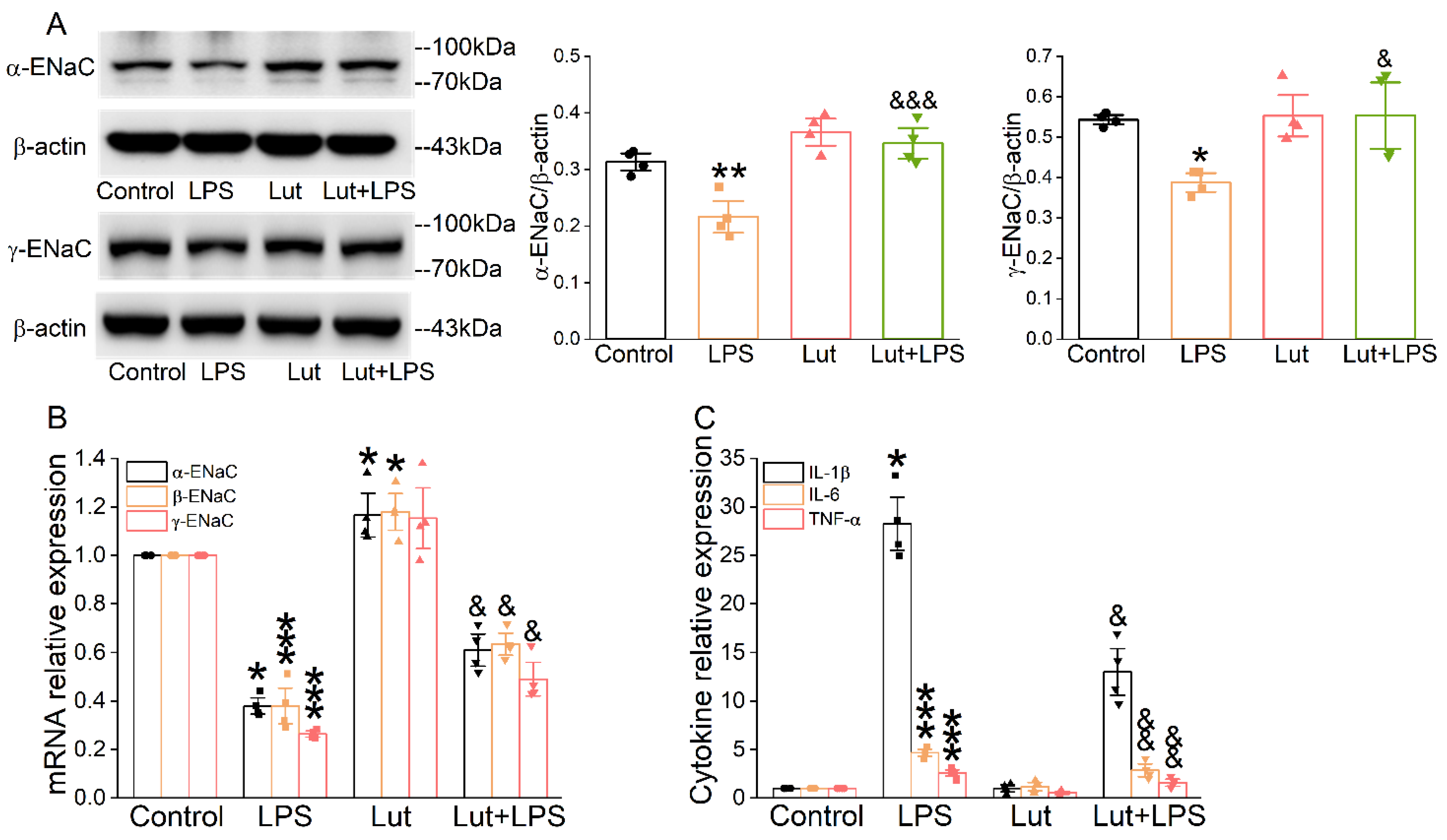 Ijms 24 10122 g002 Ijms 24 10122 g002