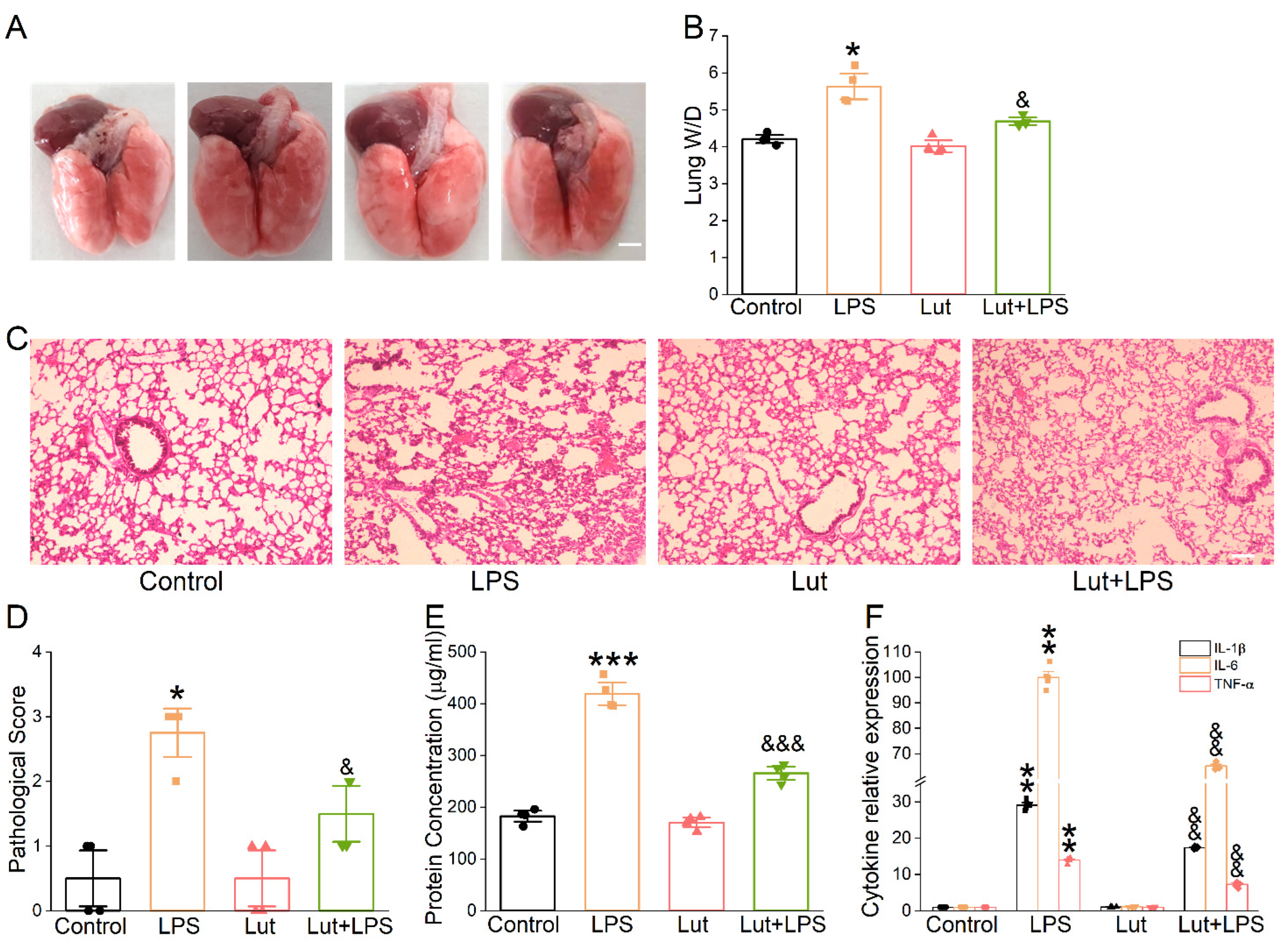 Ijms 24 10122 g003 Ijms 24 10122 g003