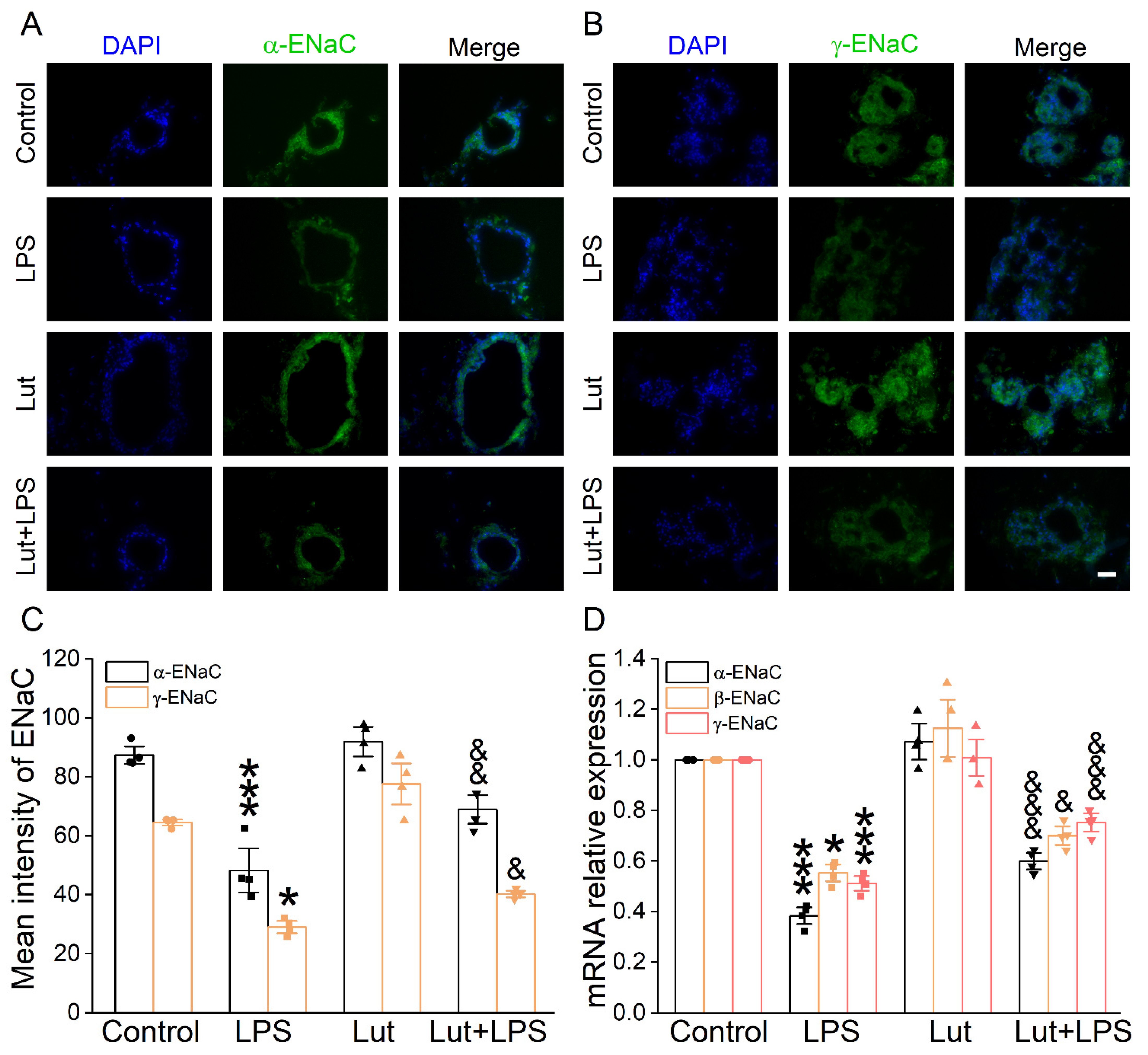 Ijms 24 10122 g005 Ijms 24 10122 g005