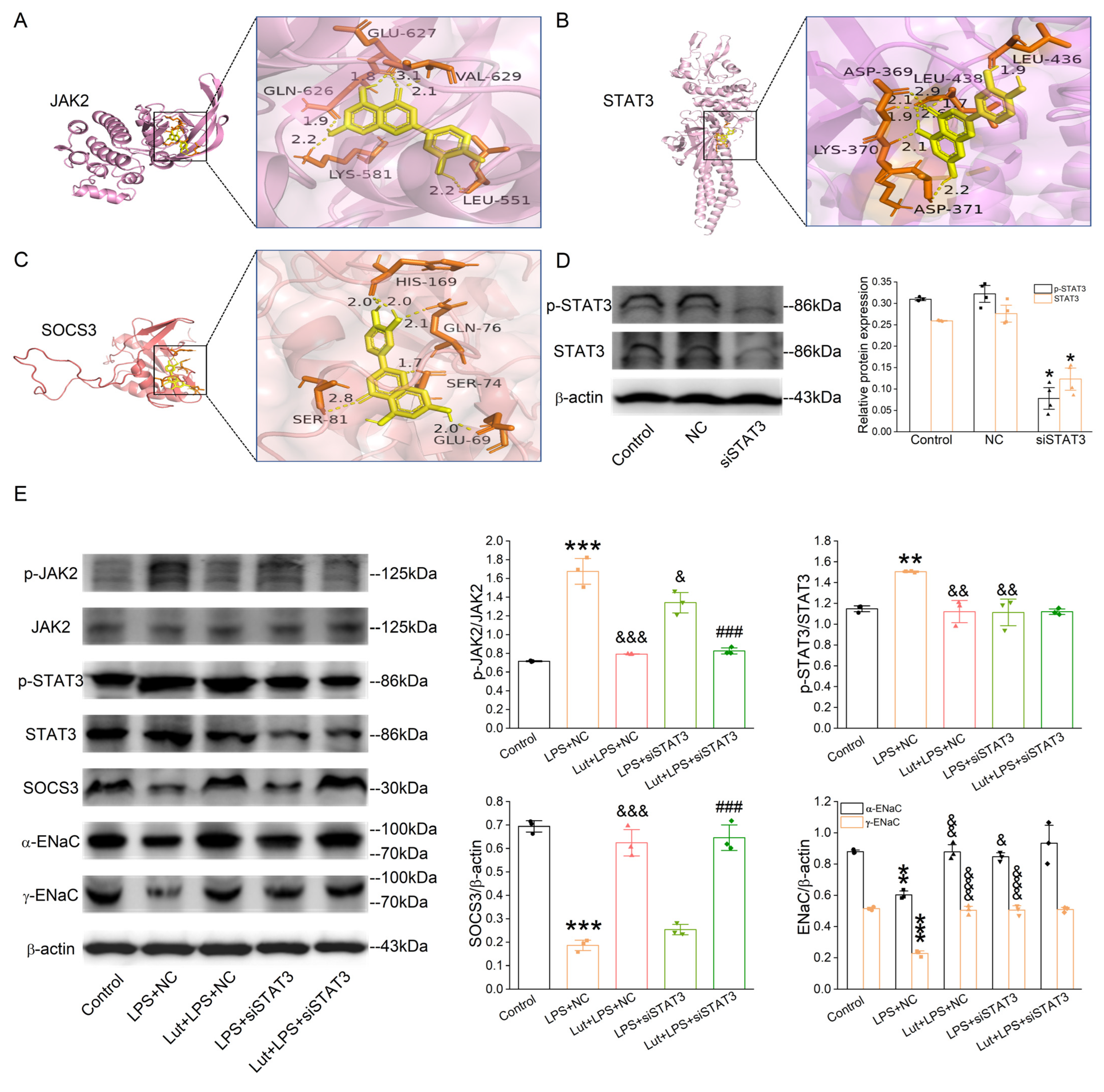 Ijms 24 10122 g008 Ijms 24 10122 g008