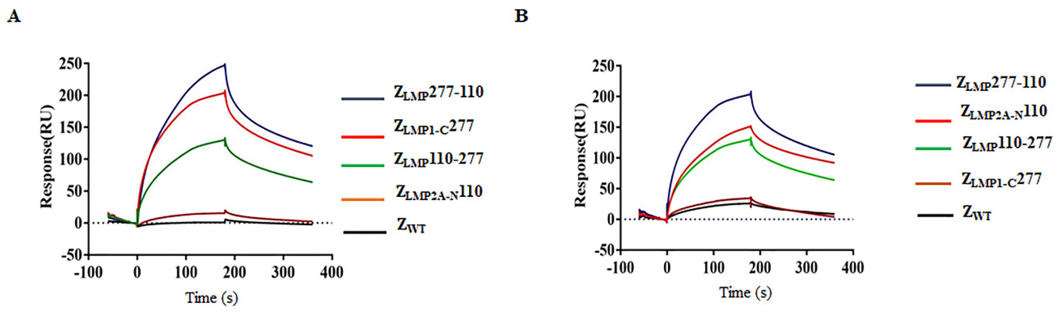 Ijms 24 10126 g002 Ijms 24 10126 g002