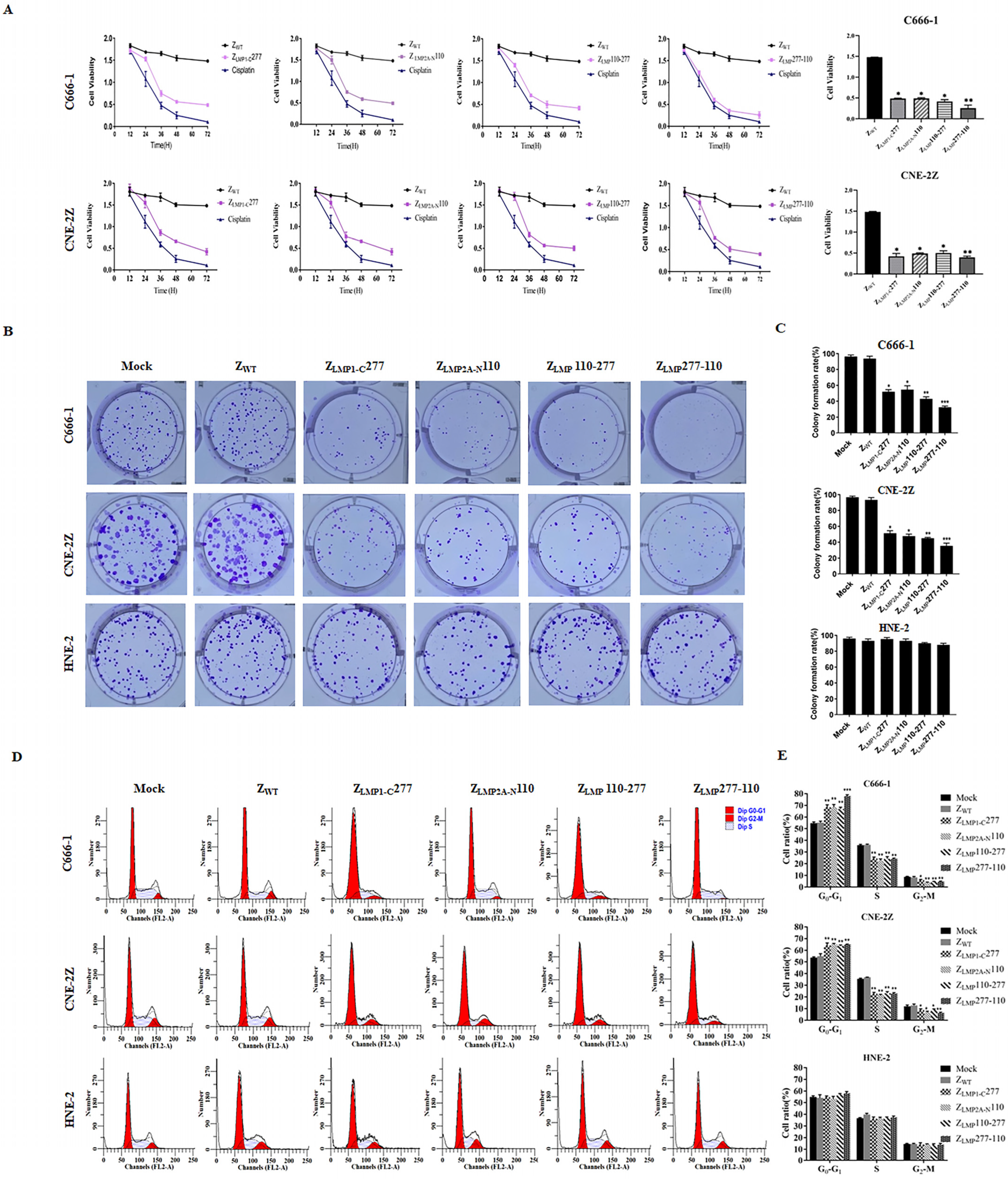 Ijms 24 10126 g006 Ijms 24 10126 g006