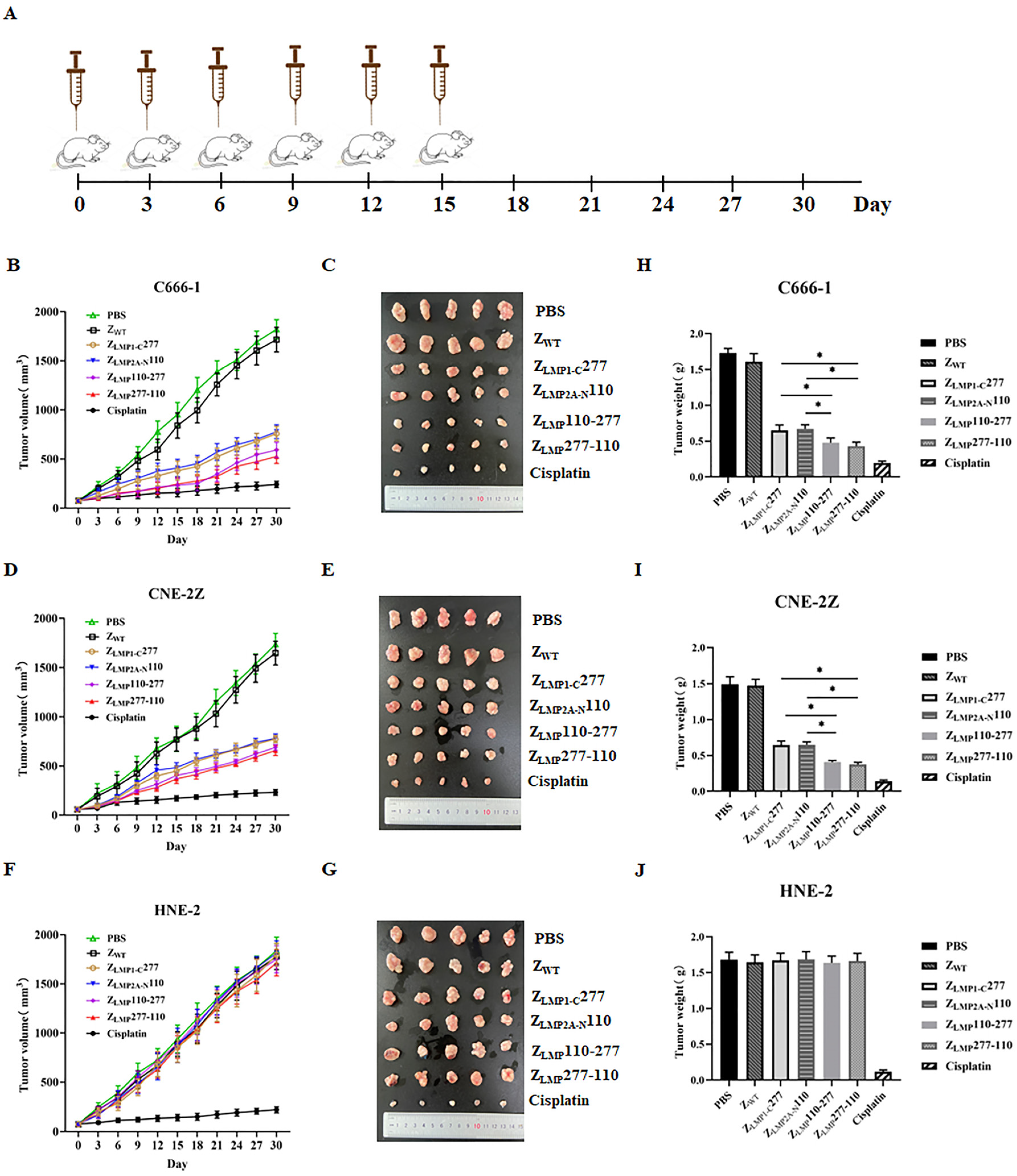 Ijms 24 10126 g008 Ijms 24 10126 g008