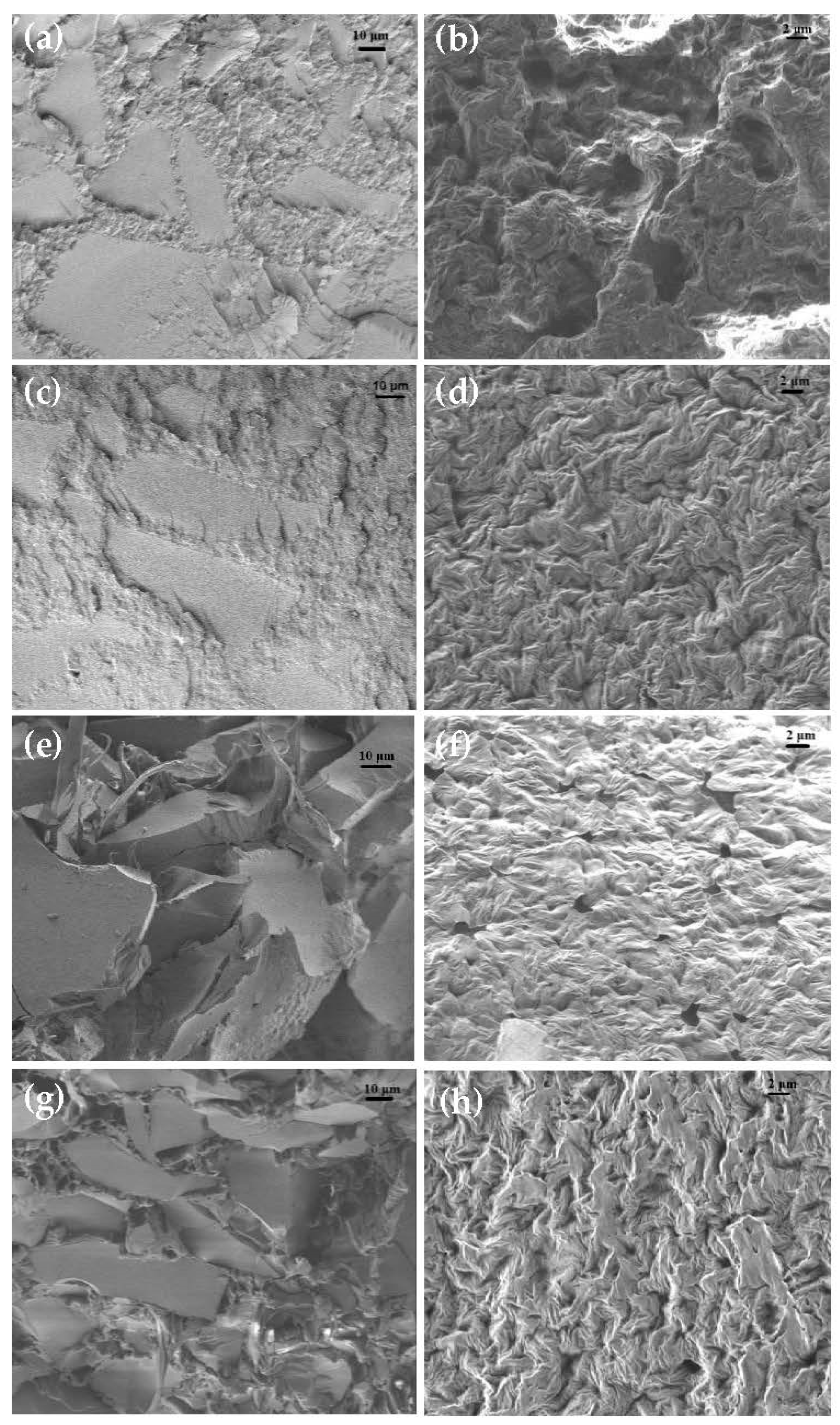 Ijms 24 10128 g002 Ijms 24 10128 g002