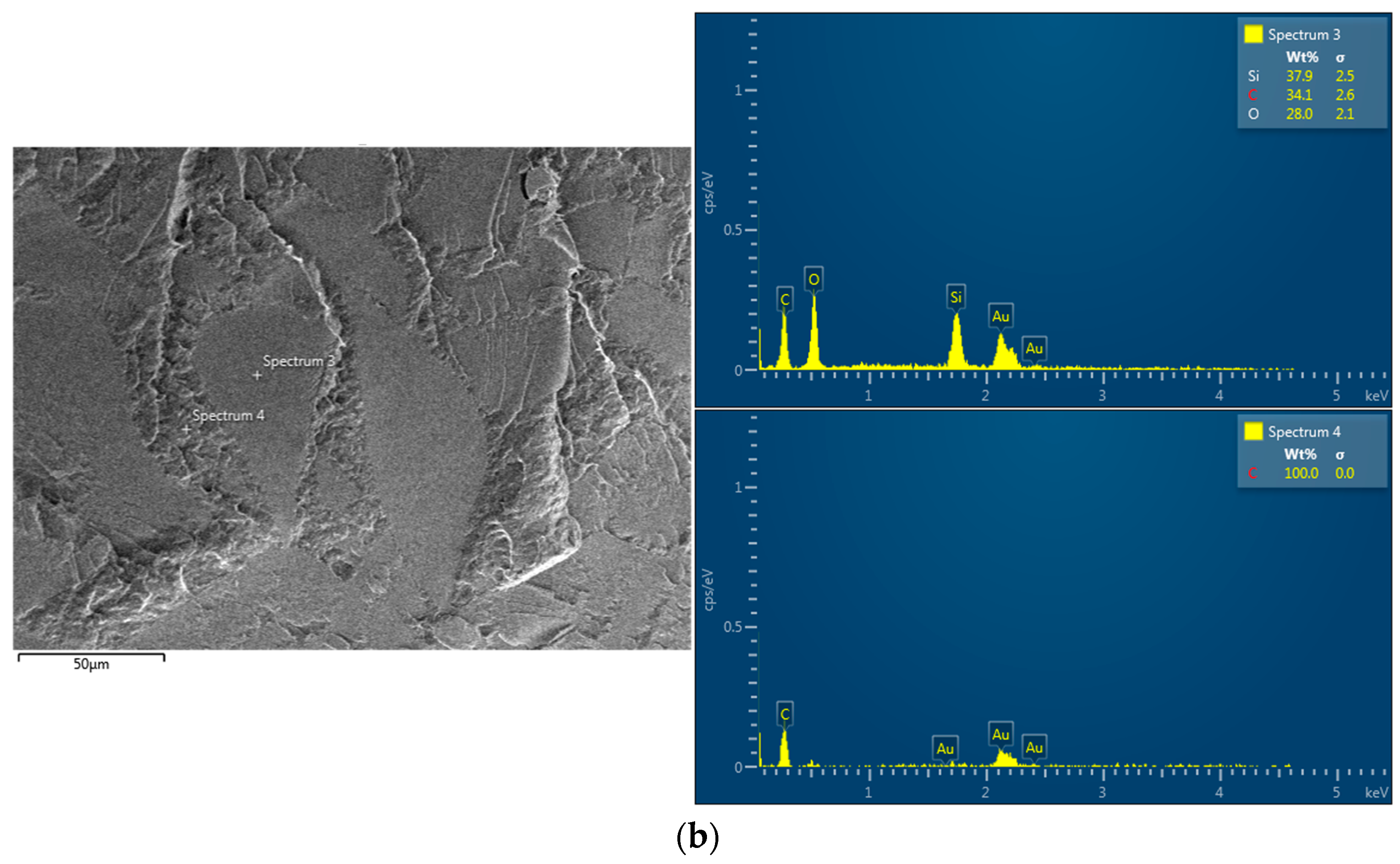 Ijms 24 10128 g003b Ijms 24 10128 g003b