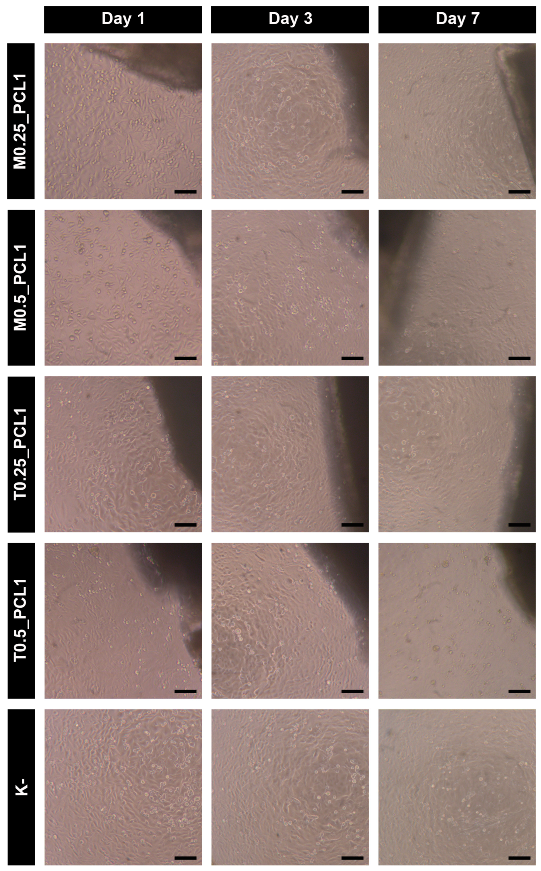 Ijms 24 10128 g008 Ijms 24 10128 g008