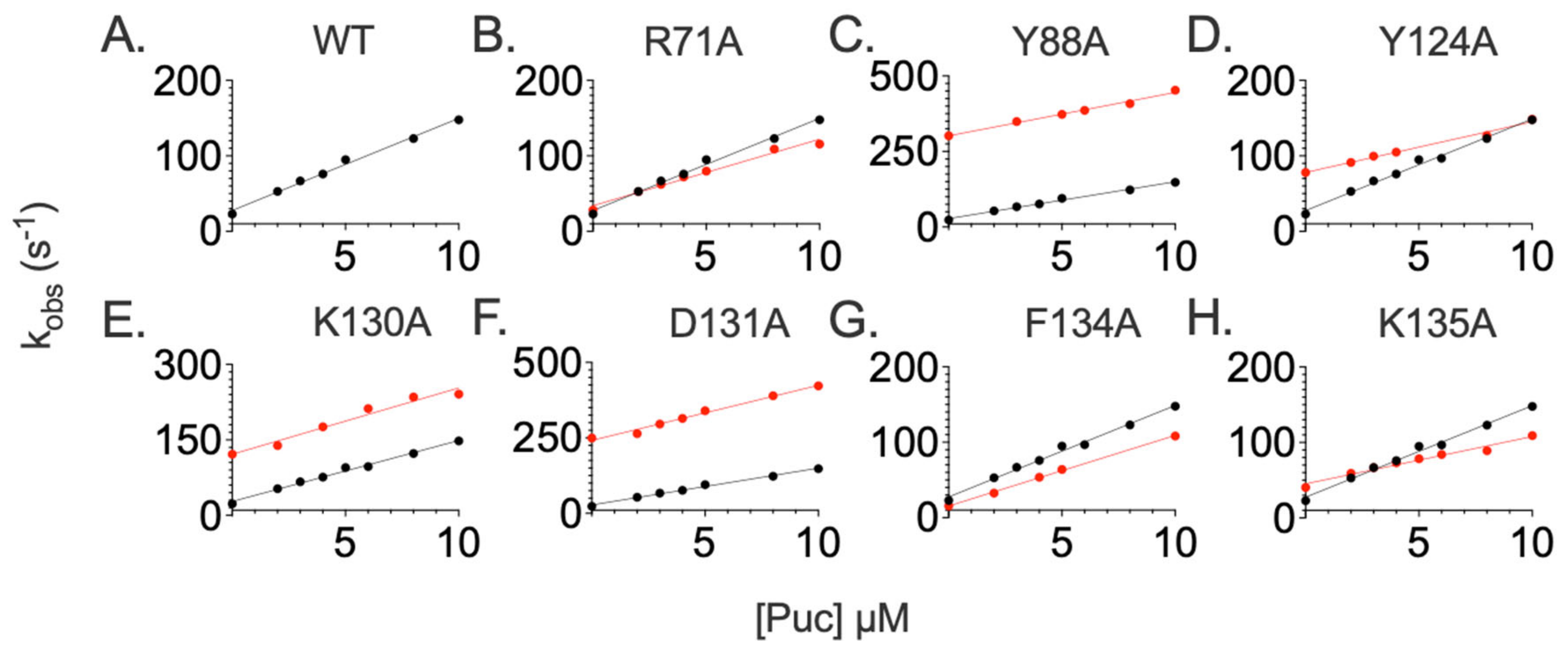 Ijms 24 10138 g004 Ijms 24 10138 g004