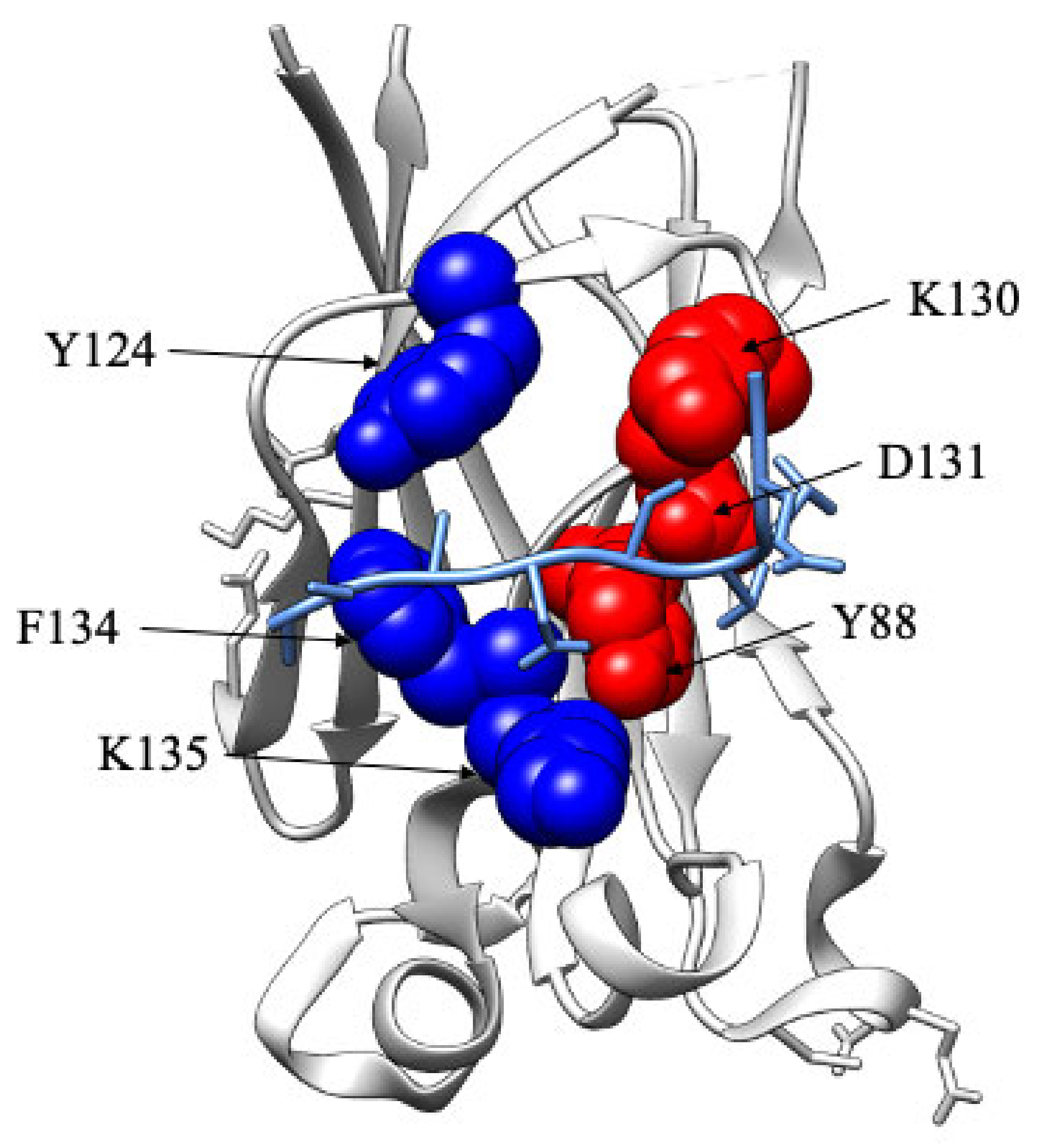 Ijms 24 10138 g005 Ijms 24 10138 g005