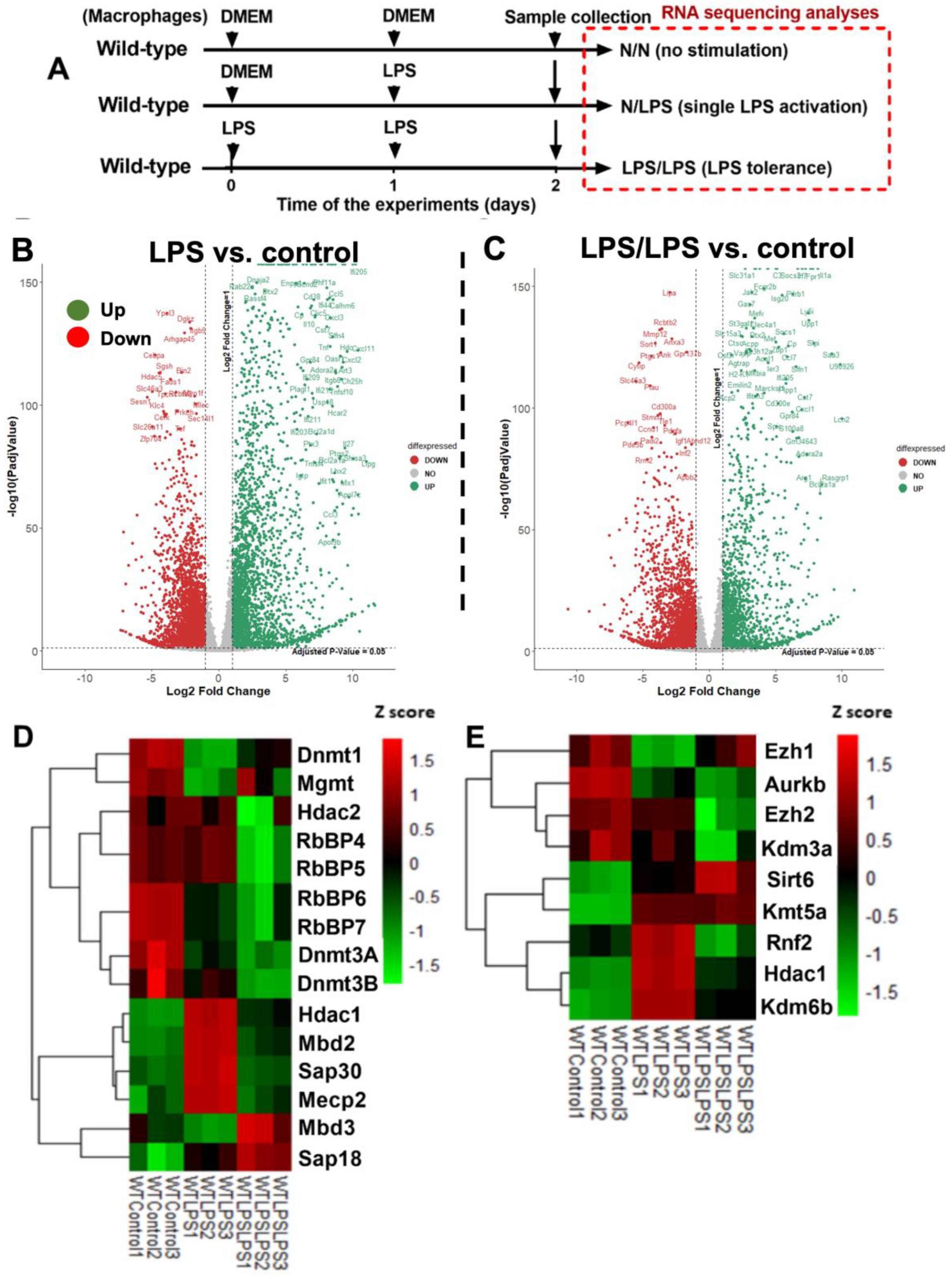 Ijms 24 10139 g001 Ijms 24 10139 g001
