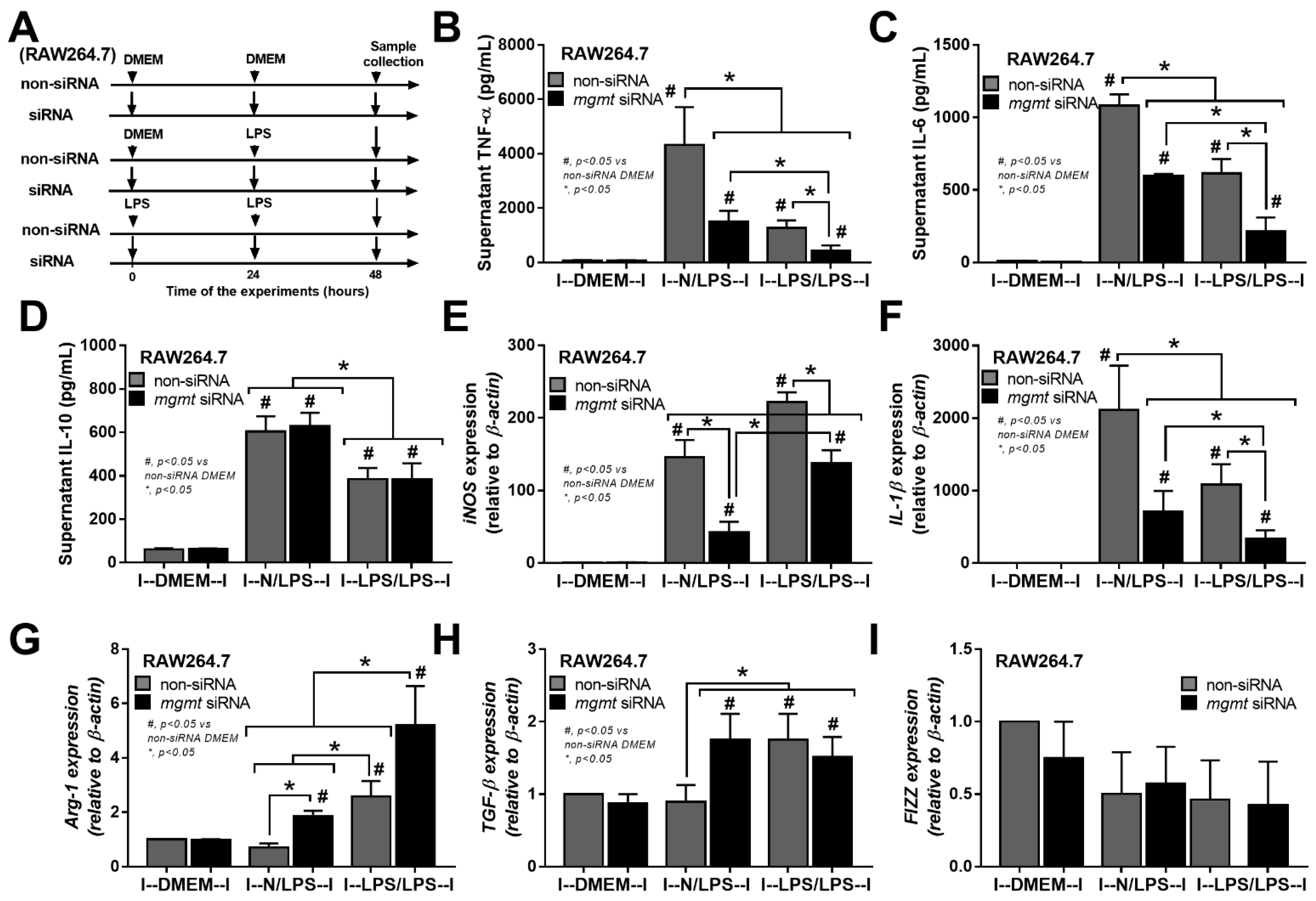 Ijms 24 10139 g002 Ijms 24 10139 g002