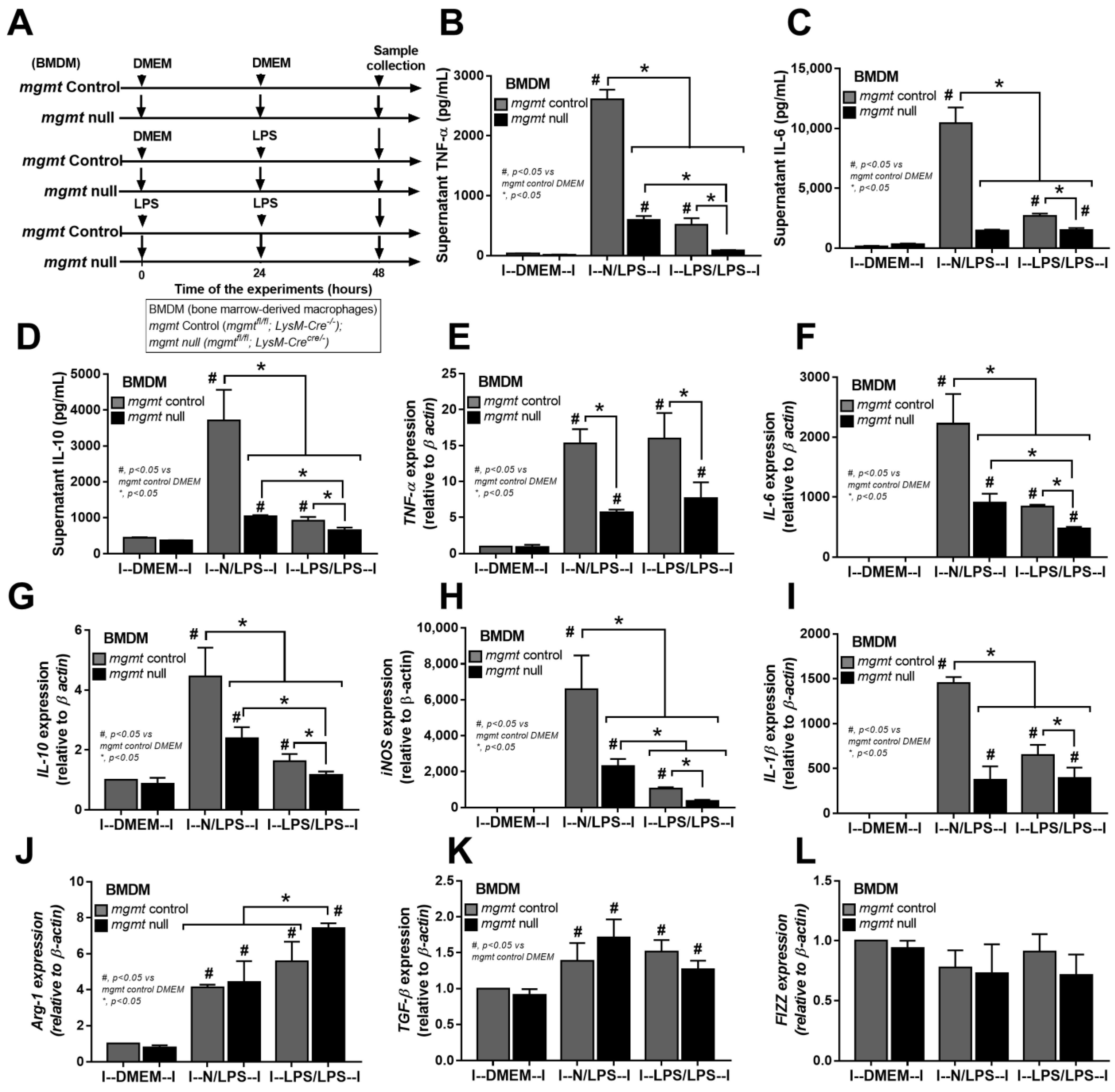 Ijms 24 10139 g003 Ijms 24 10139 g003