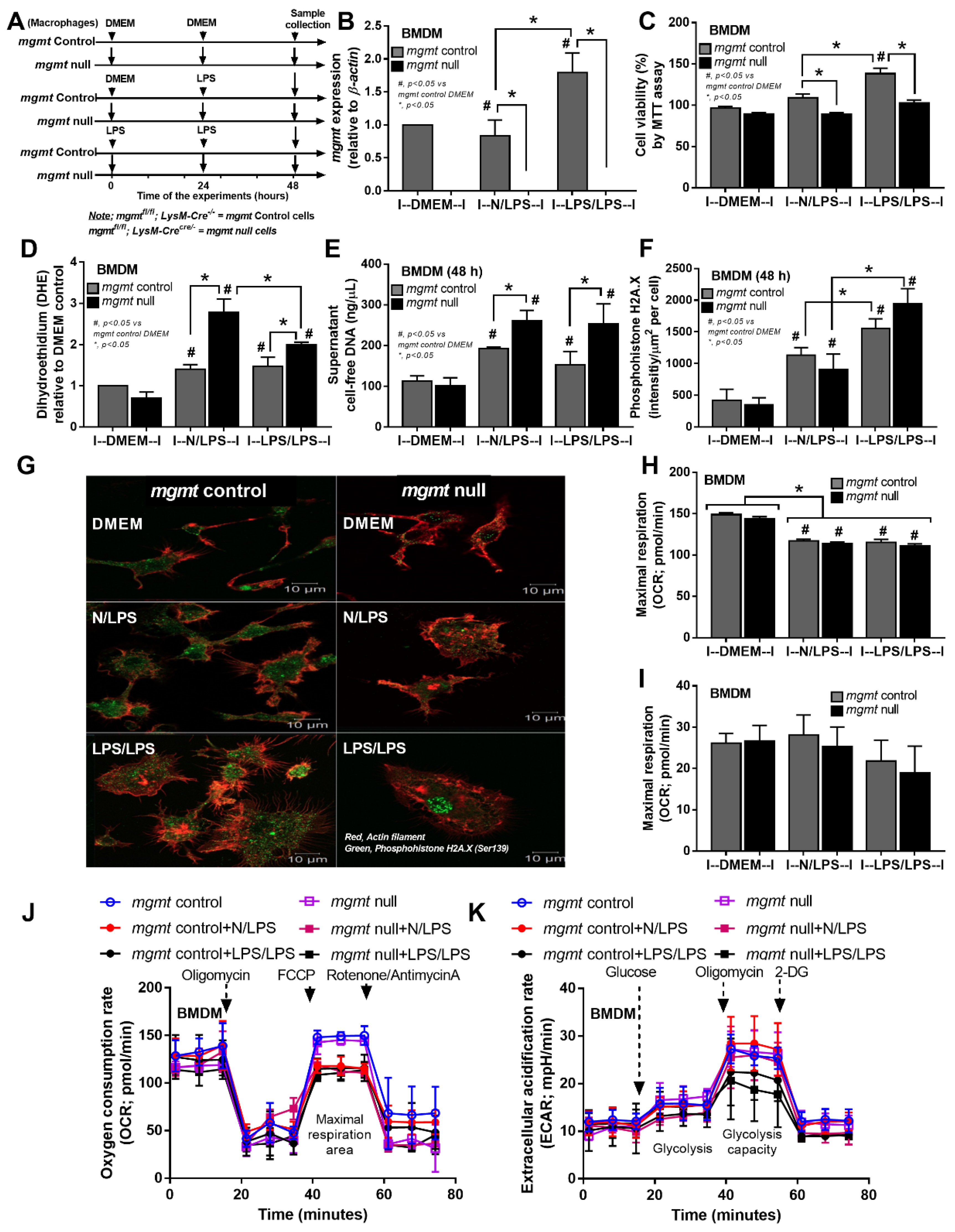 Ijms 24 10139 g004 Ijms 24 10139 g004