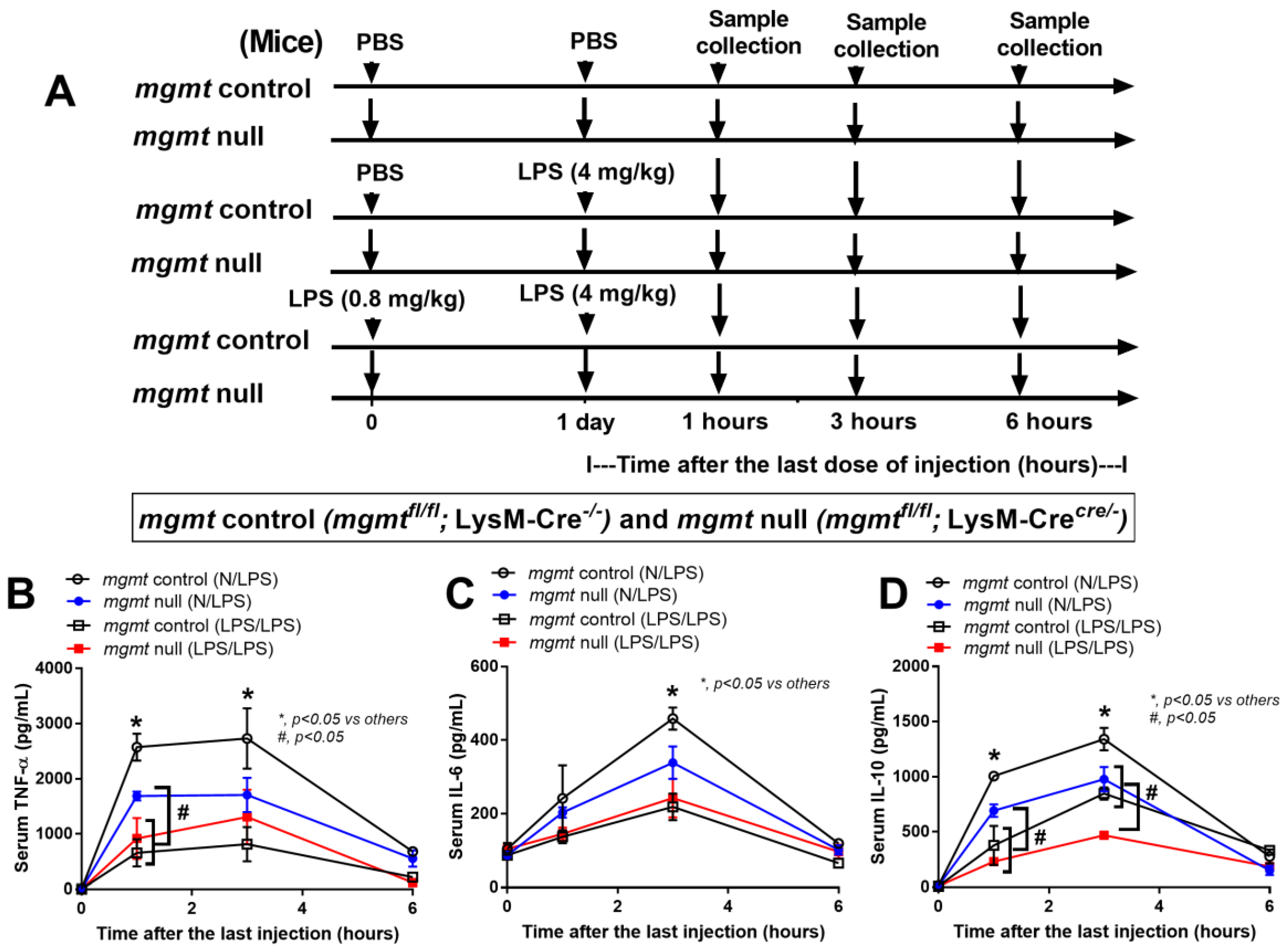 Ijms 24 10139 g005 Ijms 24 10139 g005