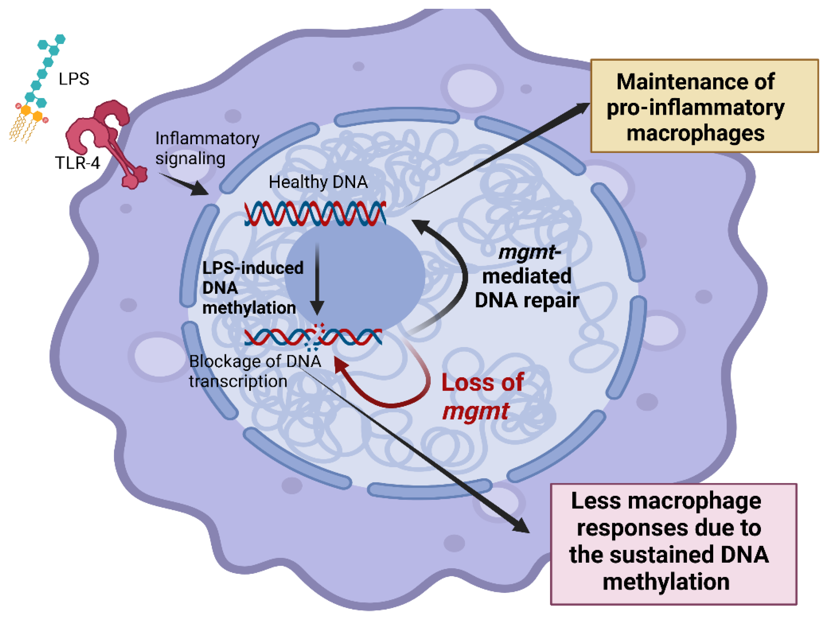 Ijms 24 10139 g006 Ijms 24 10139 g006