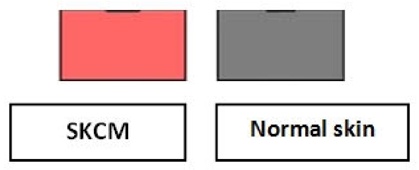 Ijms 24 10140 g001d Ijms 24 10140 g001d