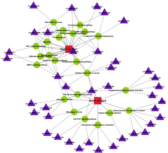 Y.U様 fnins-18-1402996-g001.jpg
