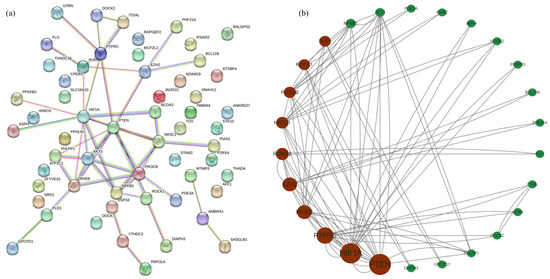 Analysis of CircRNA Expression in Peripheral Blood of