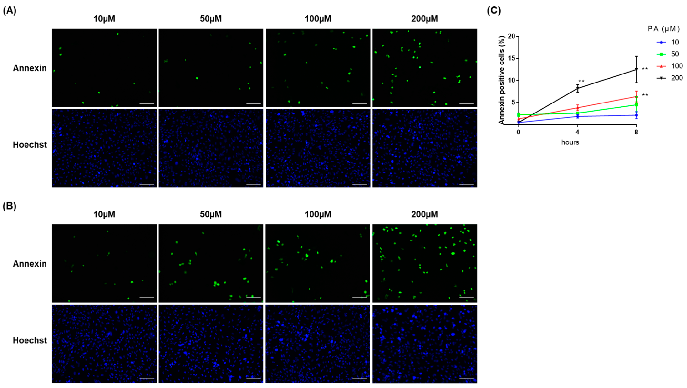 Ijms 24 10151 g001 Ijms 24 10151 g001