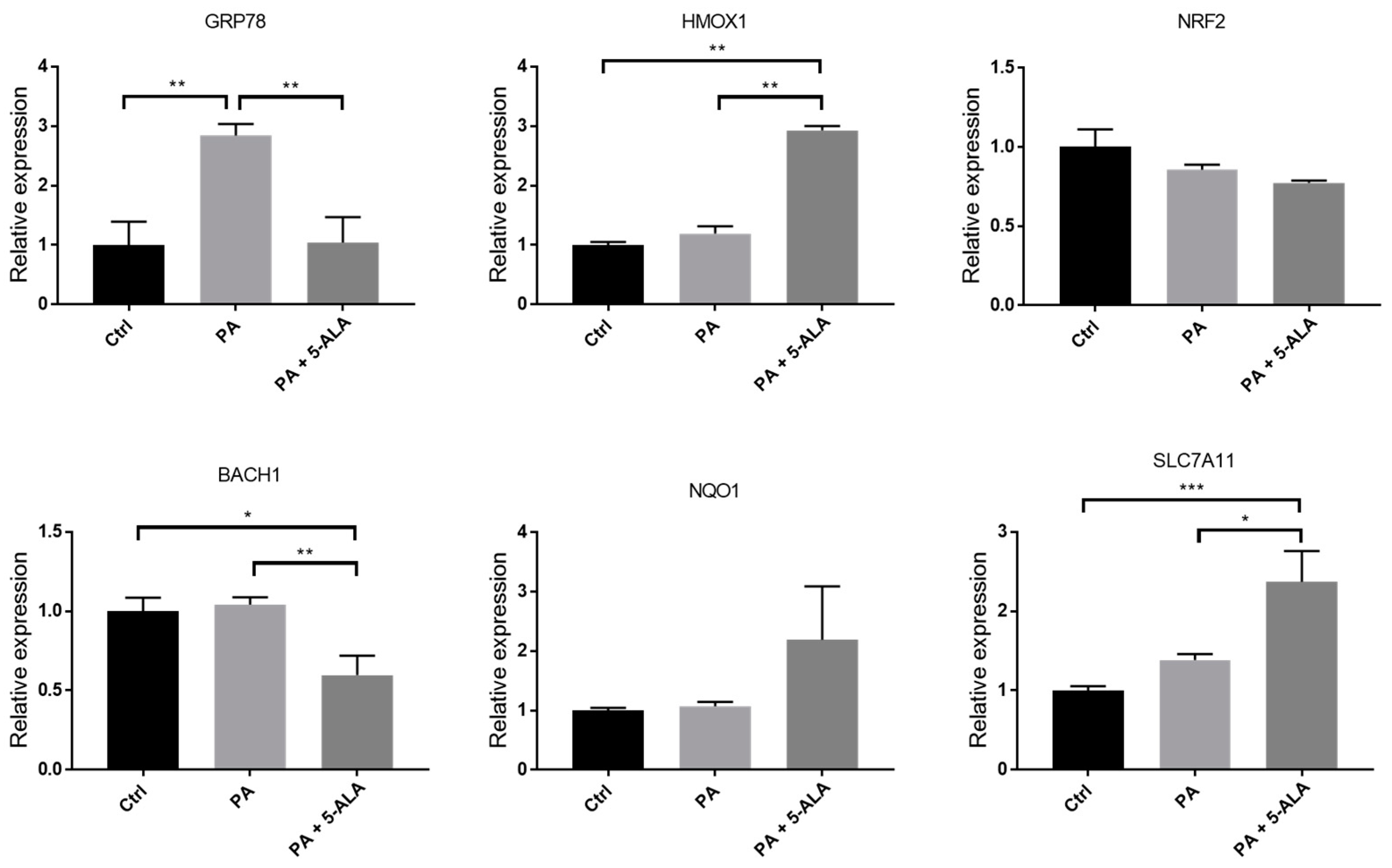 Ijms 24 10151 g003 Ijms 24 10151 g003