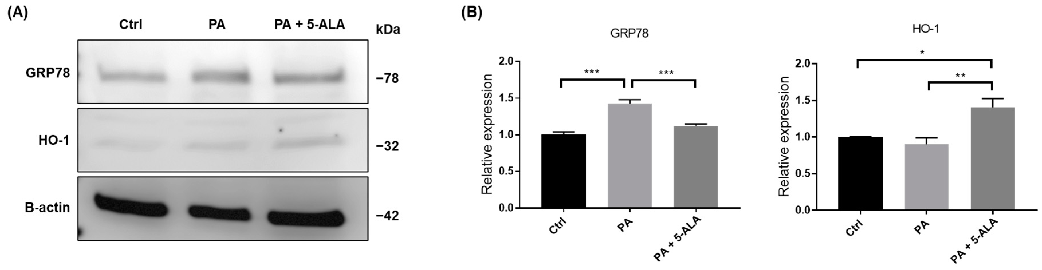 Ijms 24 10151 g004 Ijms 24 10151 g004