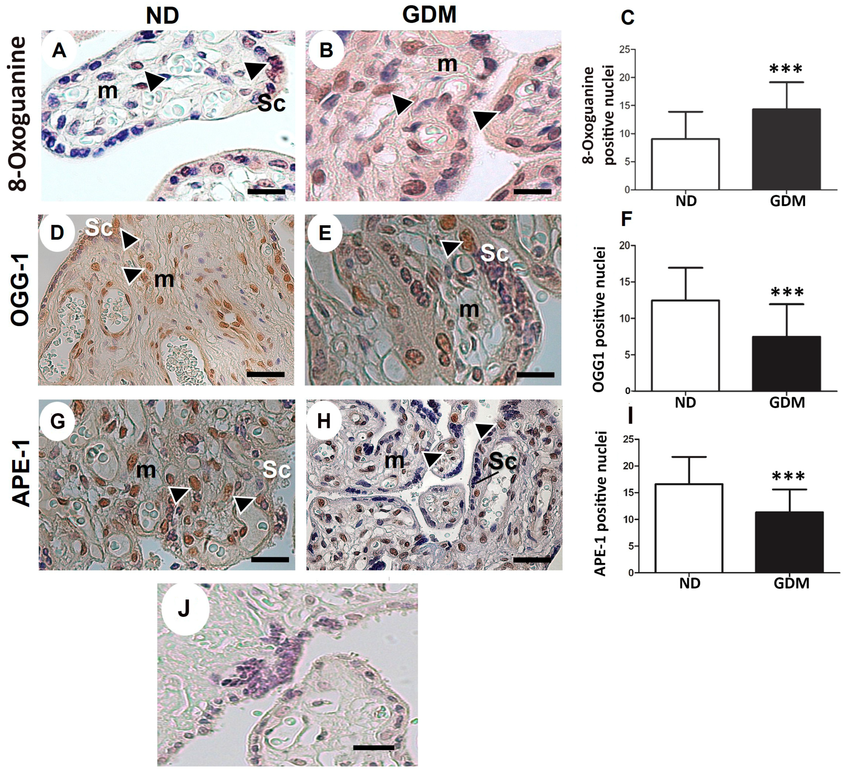 Ijms 24 10155 g005 Ijms 24 10155 g005