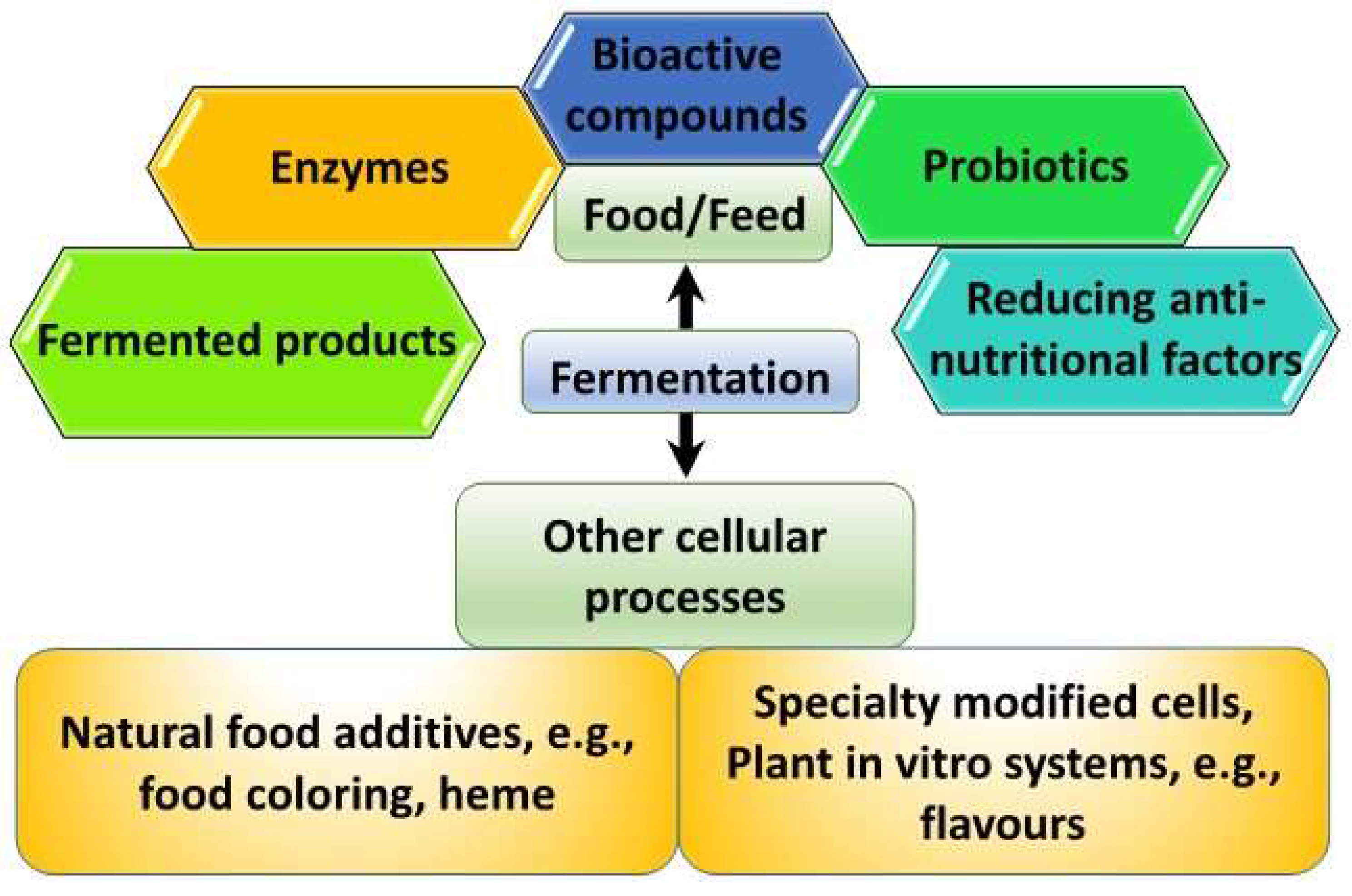 Precision fermentation, Making food with microbes