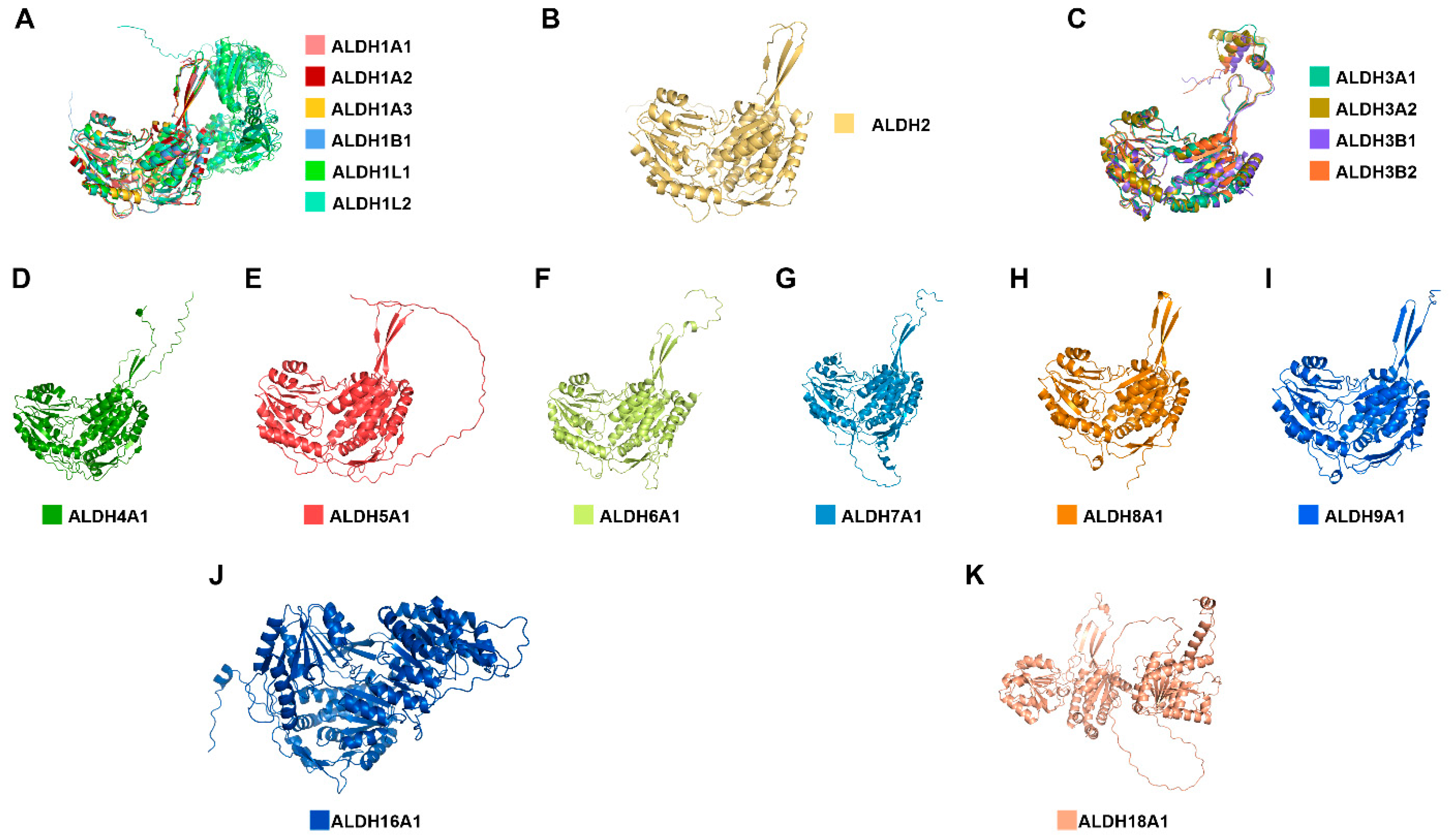 Ijms 24 10157 g001 Ijms 24 10157 g001