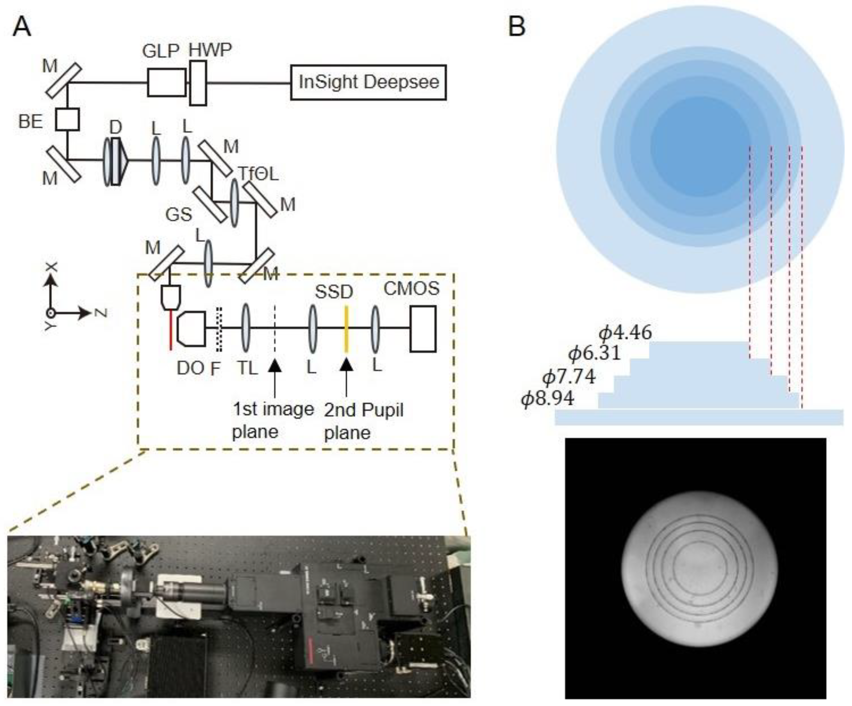 Ijms 24 10186 g001 Ijms 24 10186 g001