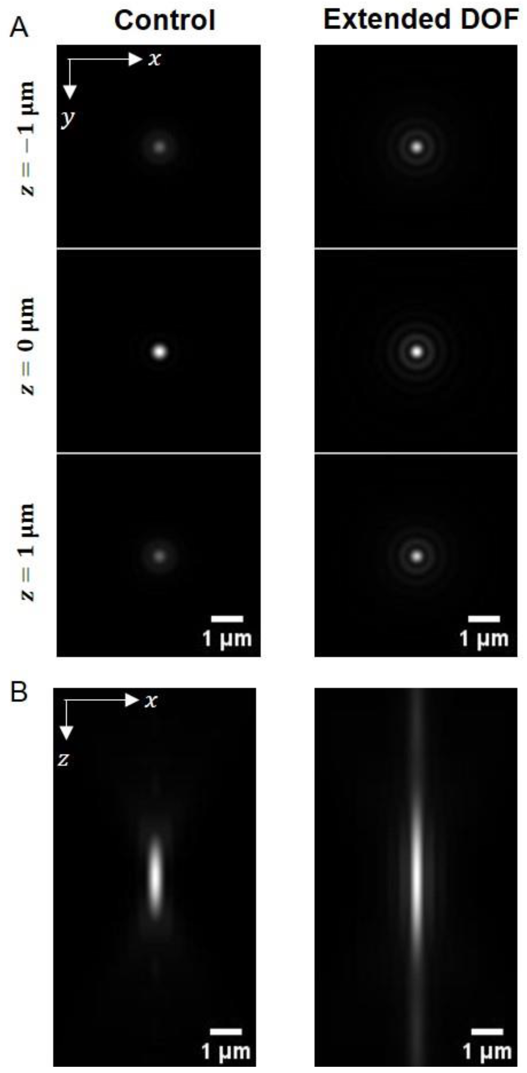 Ijms 24 10186 g002 Ijms 24 10186 g002