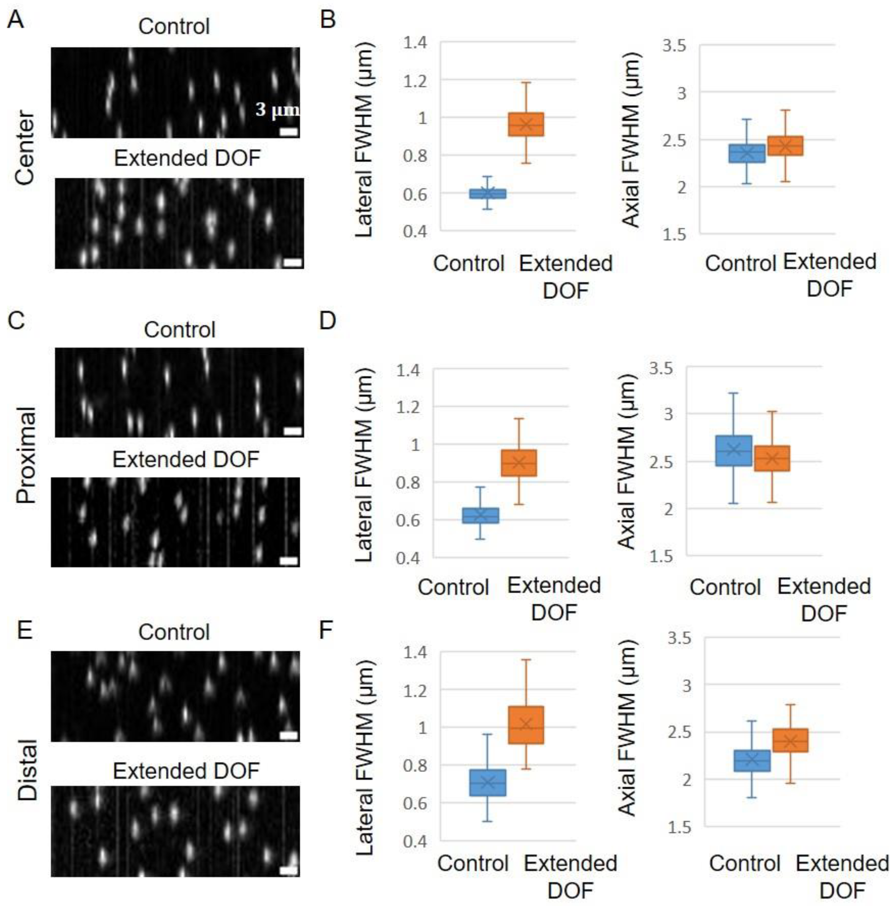 Ijms 24 10186 g004 Ijms 24 10186 g004