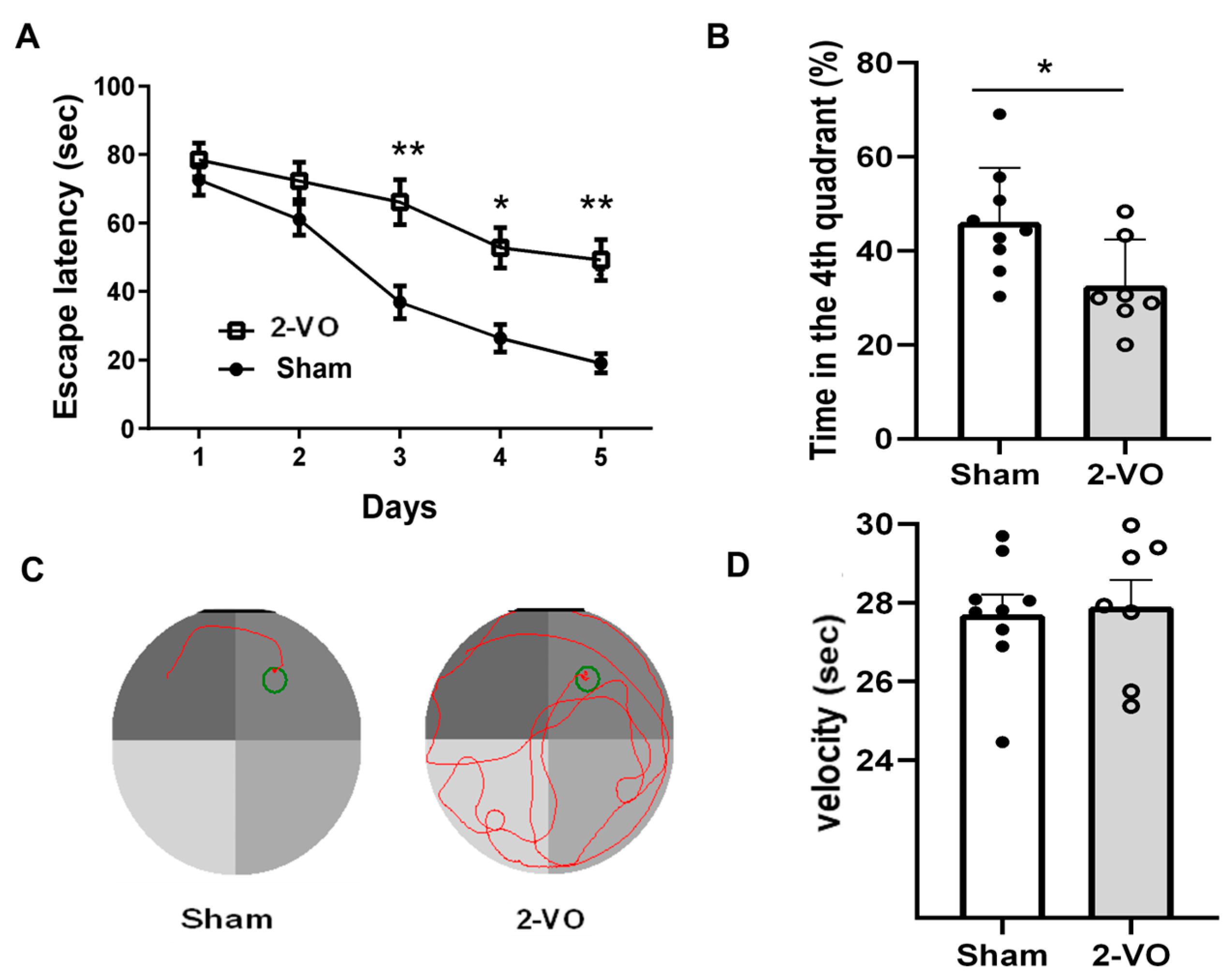 Ijms 24 10198 g001 Ijms 24 10198 g001