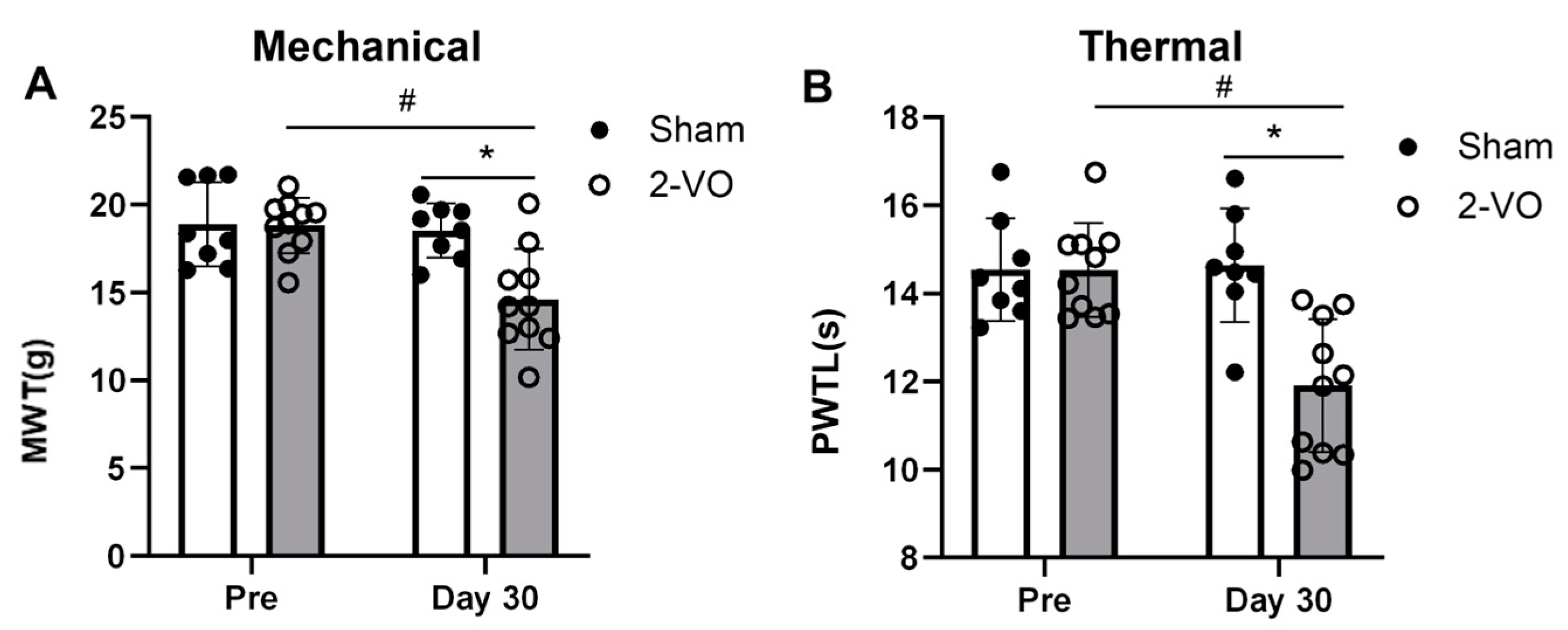 Ijms 24 10198 g004 Ijms 24 10198 g004