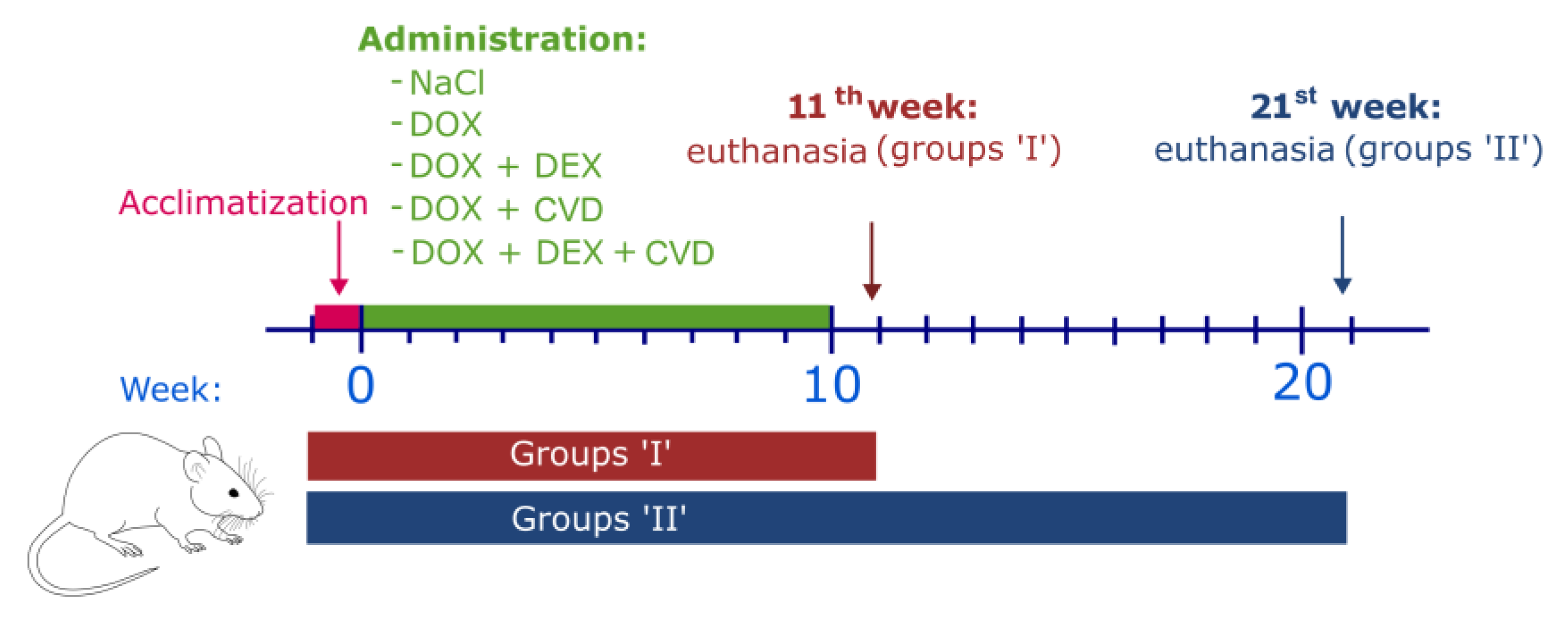 Ijms 24 10202 g001 Ijms 24 10202 g001