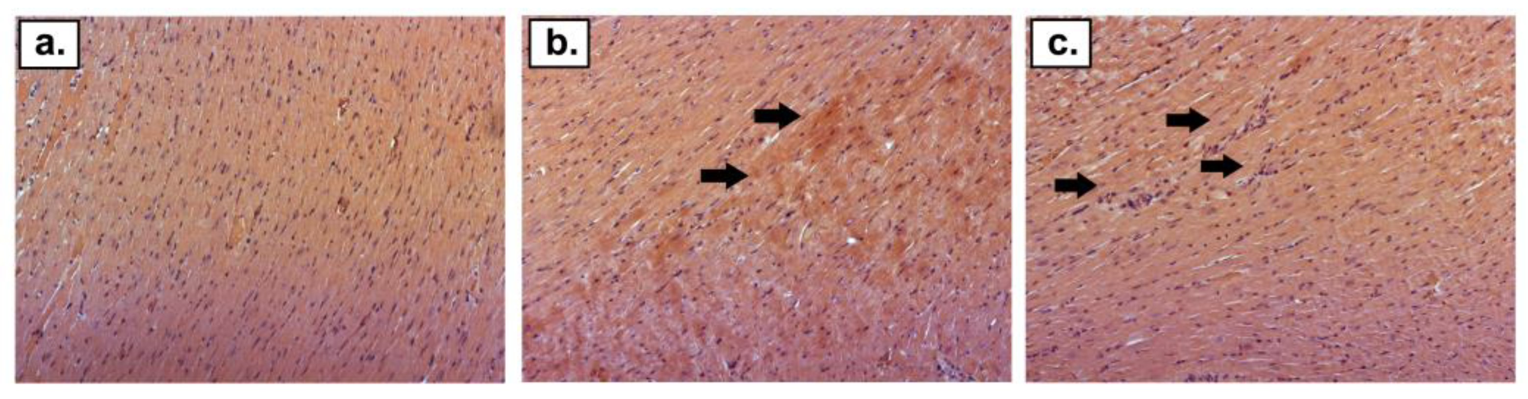 Ijms 24 10202 g003 Ijms 24 10202 g003