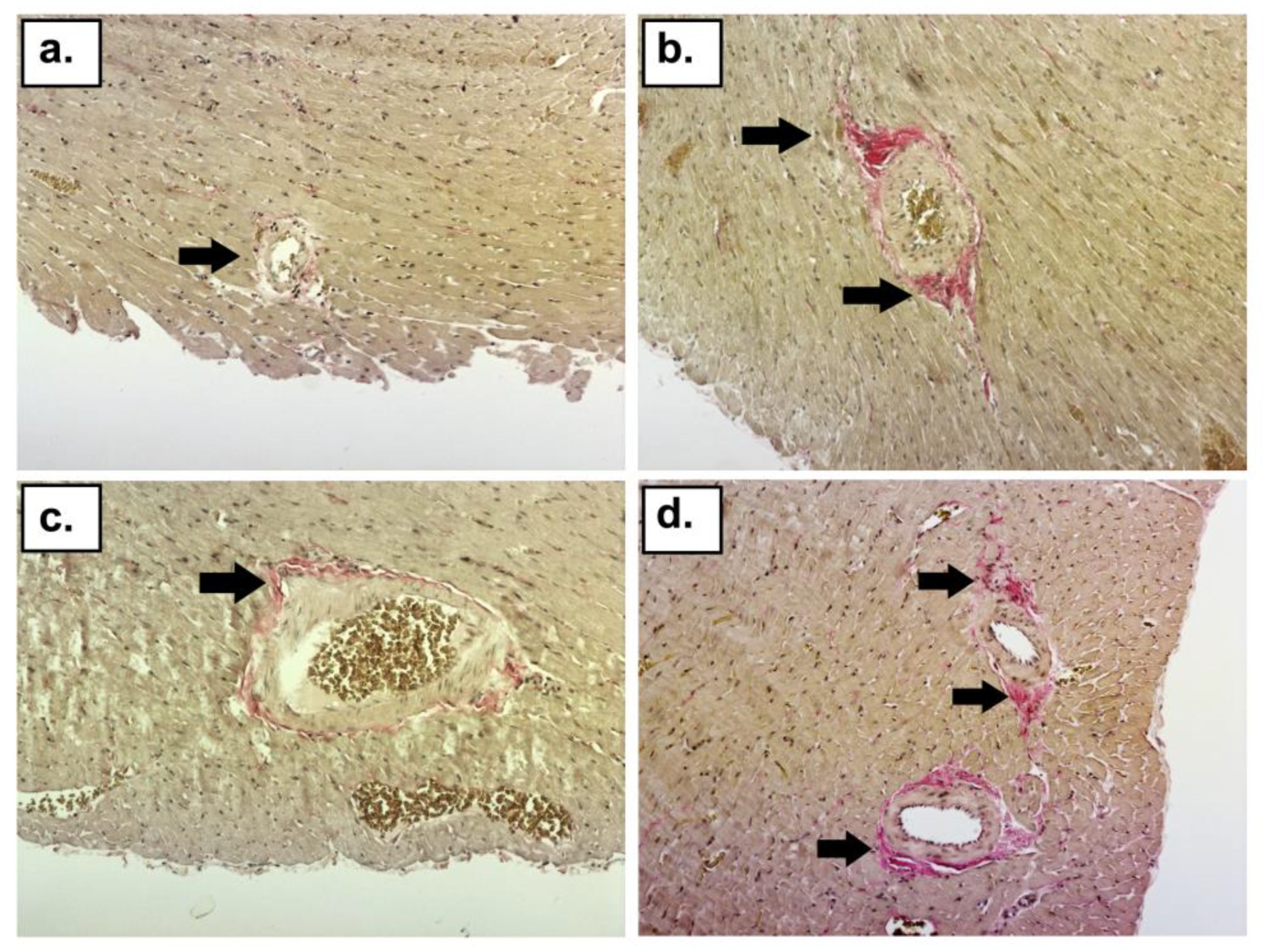 Ijms 24 10202 g004 Ijms 24 10202 g004