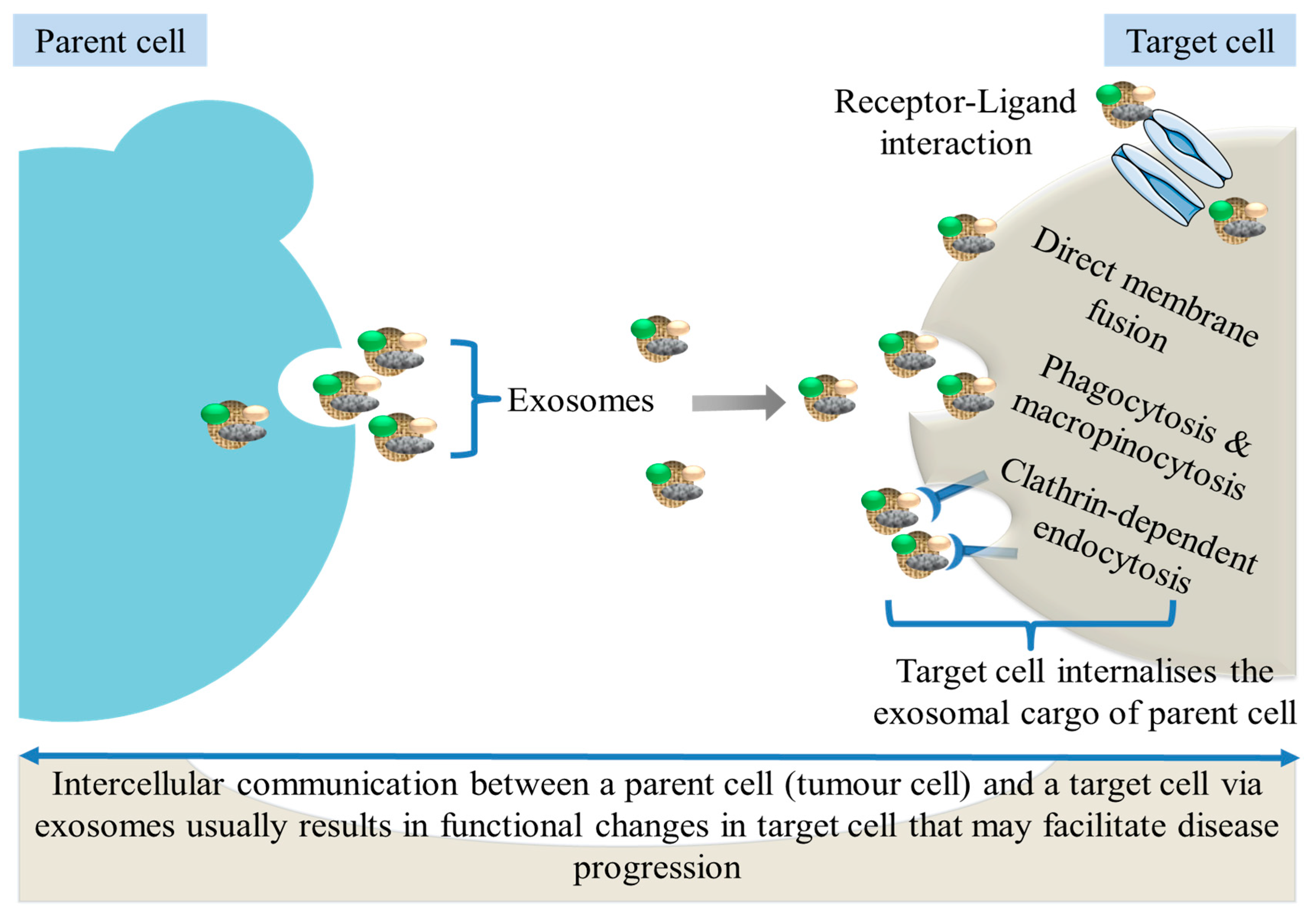 Ijms 24 10203 g002 Ijms 24 10203 g002
