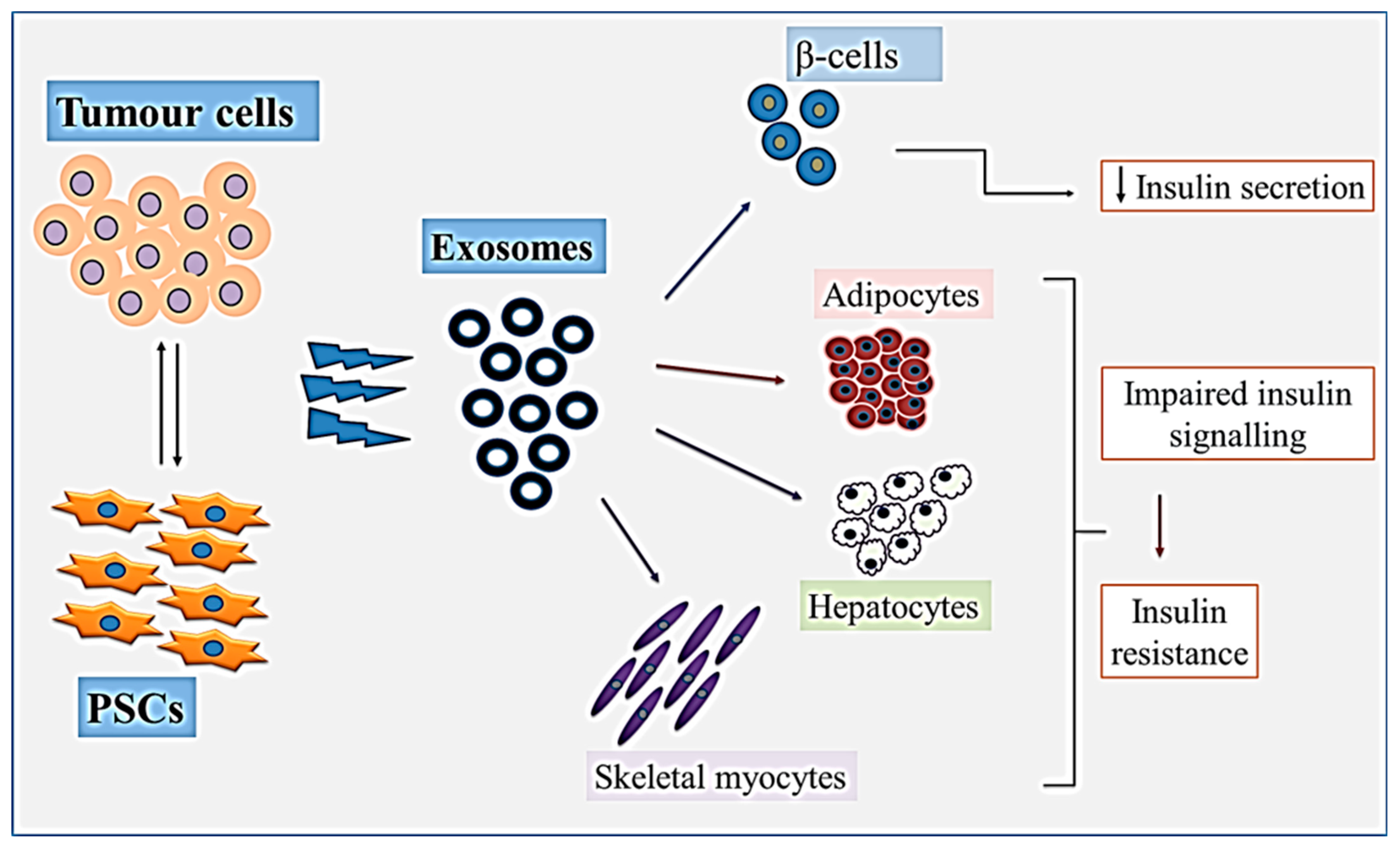Ijms 24 10203 g004 Ijms 24 10203 g004