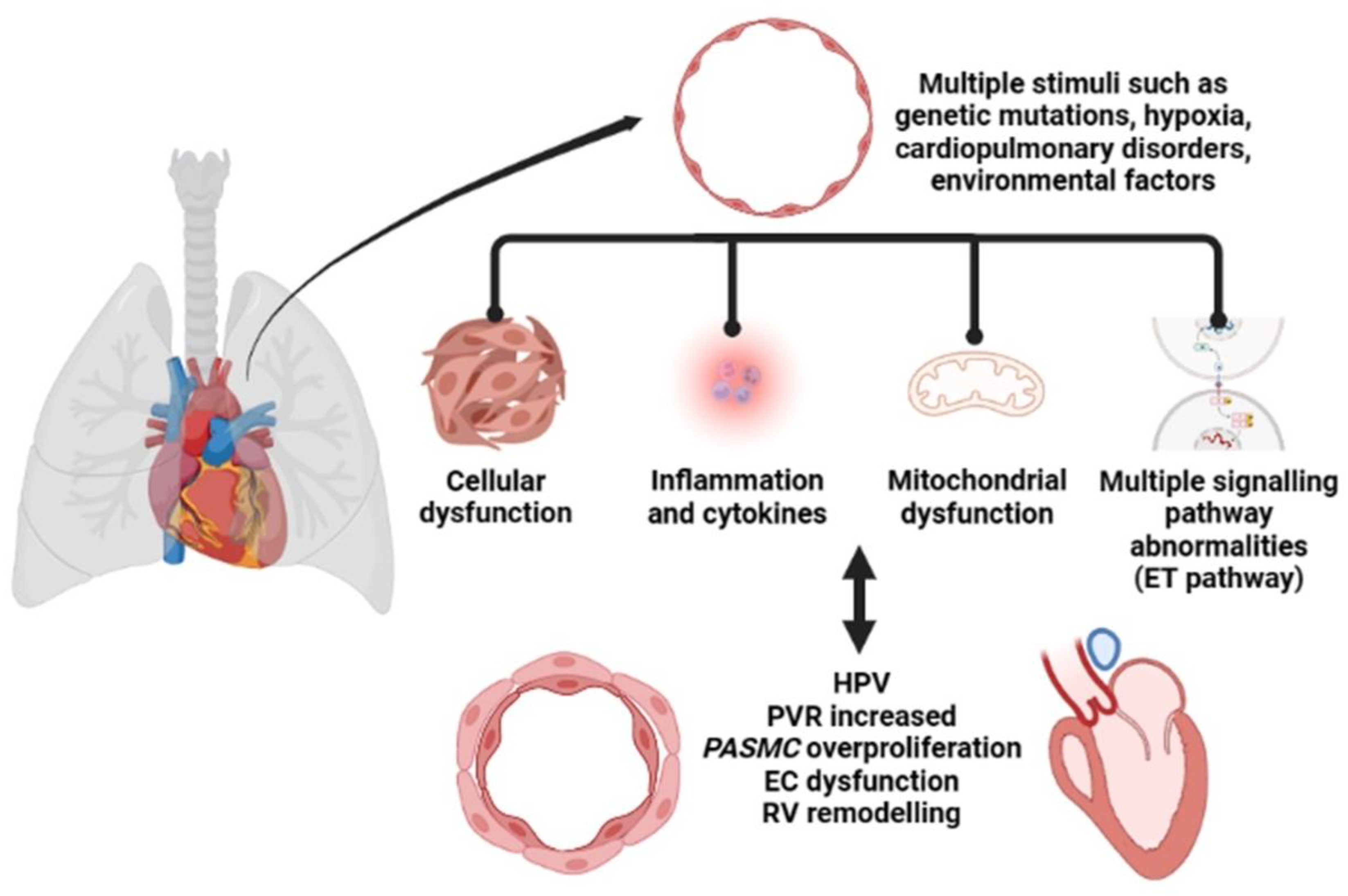 Ijms 24 10206 g001 Ijms 24 10206 g001