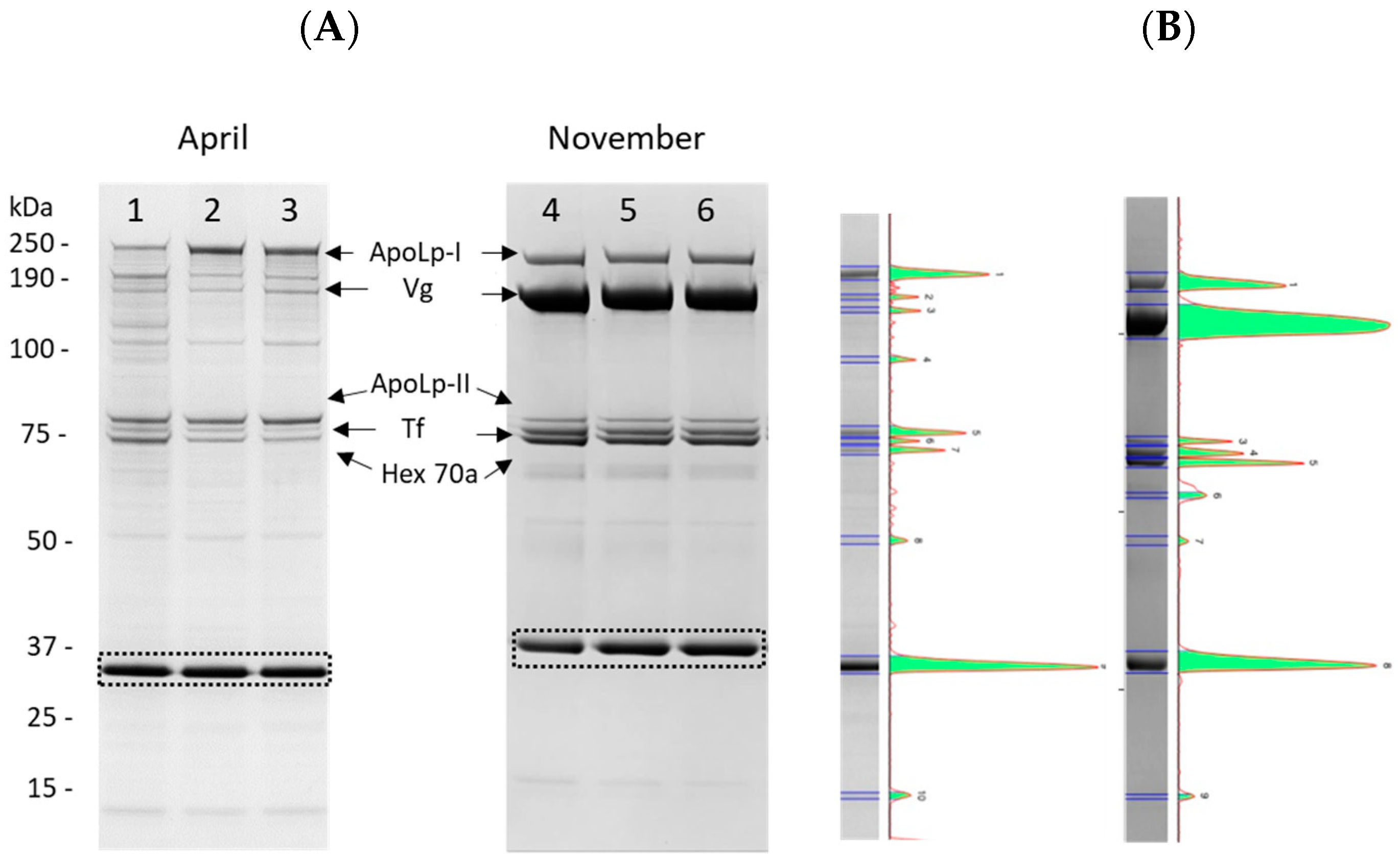 Ijms 24 10216 g003 Ijms 24 10216 g003