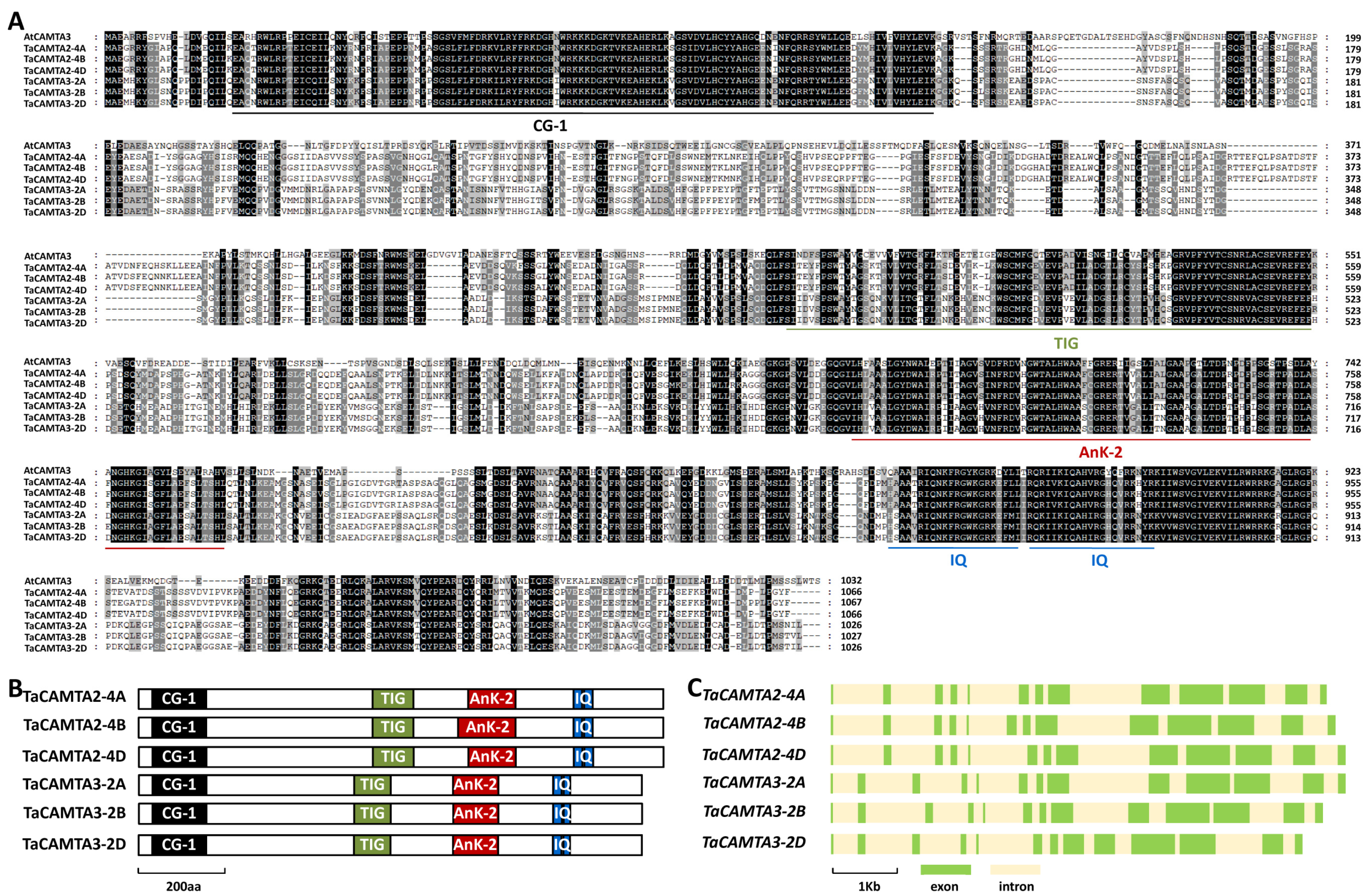 Ijms 24 10224 g001 Ijms 24 10224 g001