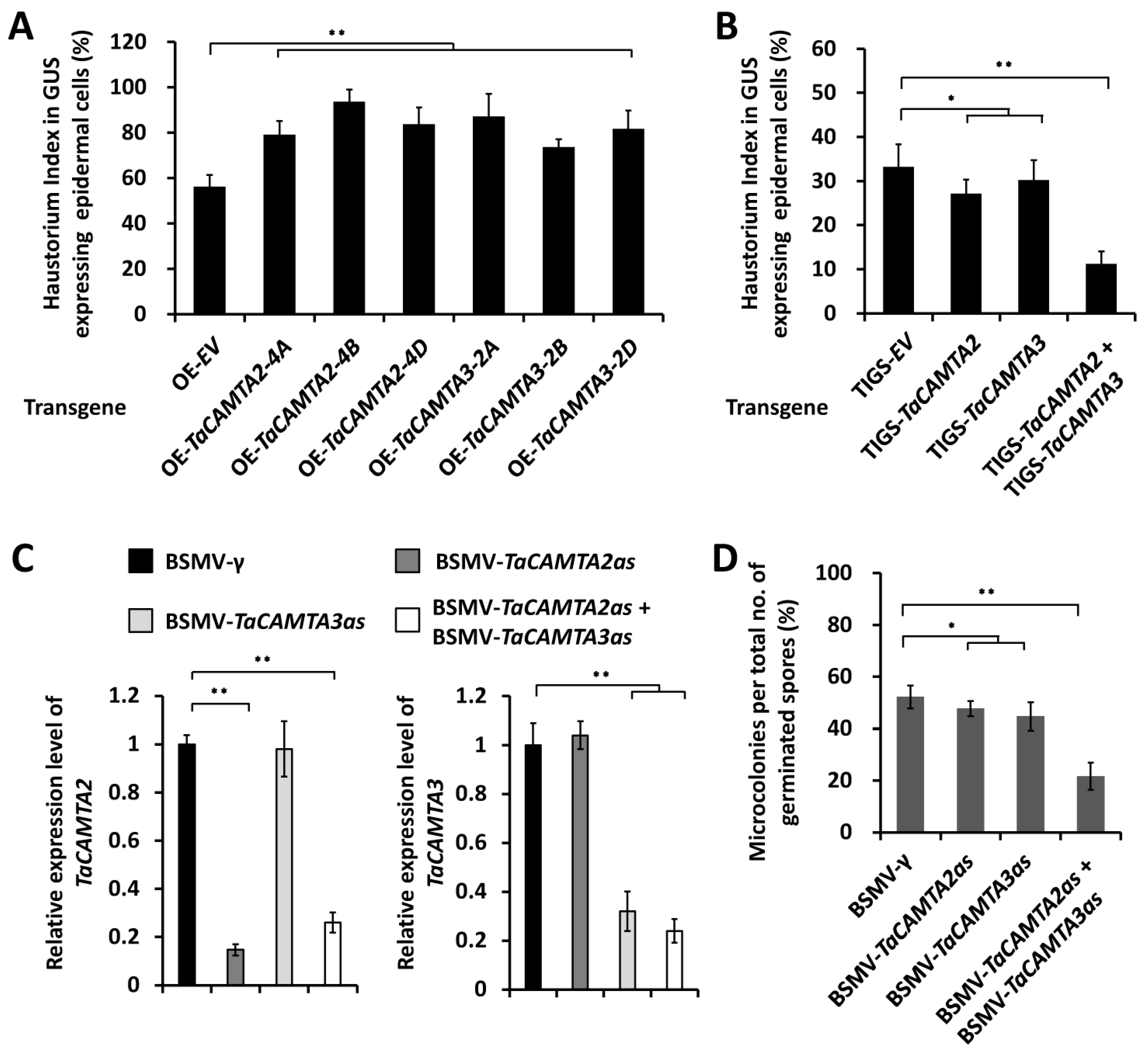 Ijms 24 10224 g002 Ijms 24 10224 g002